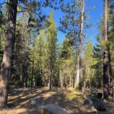 Review photo of Whychus creek dispersed by Joleen O., August 22, 2026