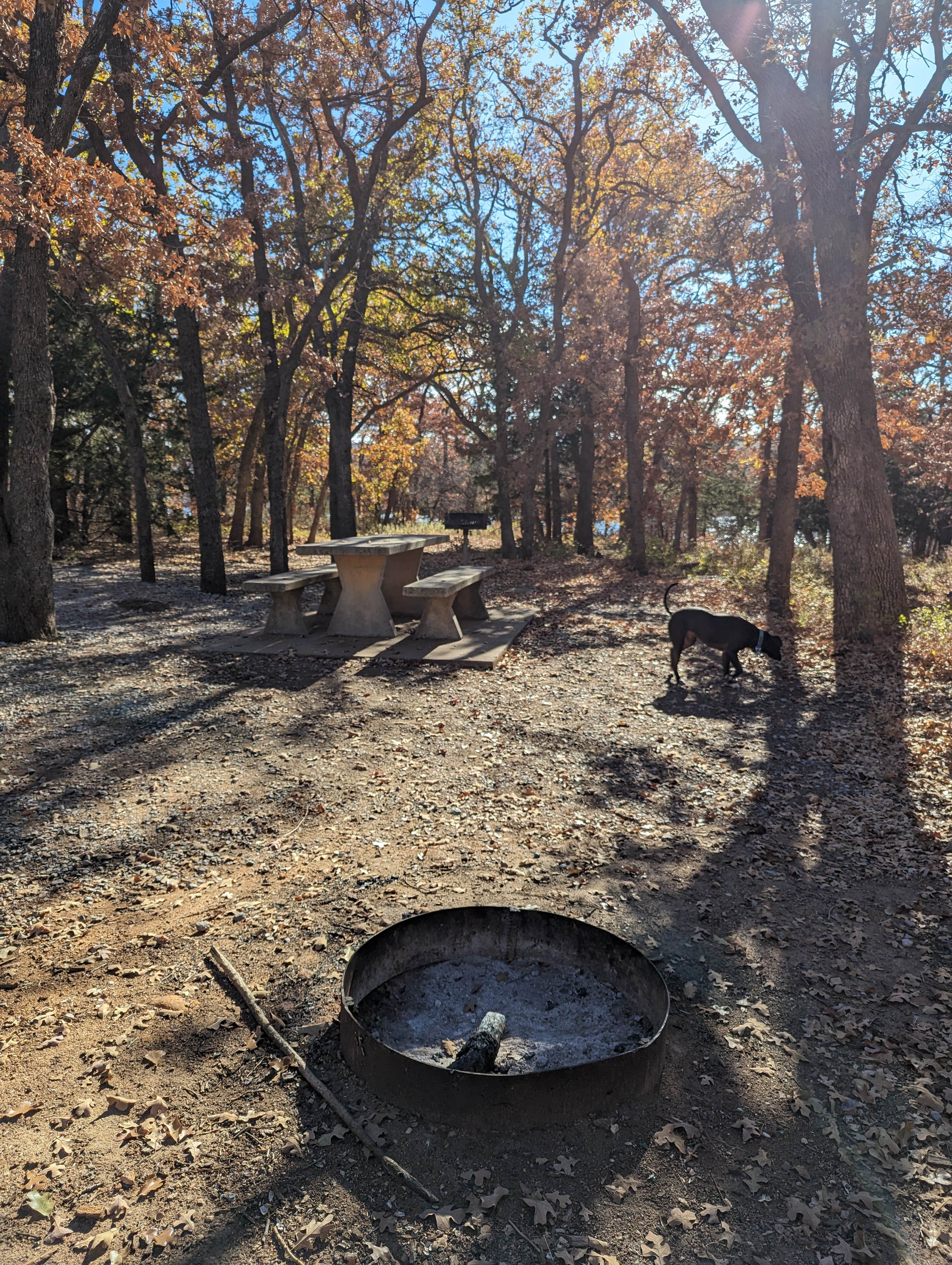 Kristi D.'s photo of camping with pets at Doris Campground near Cache, OK