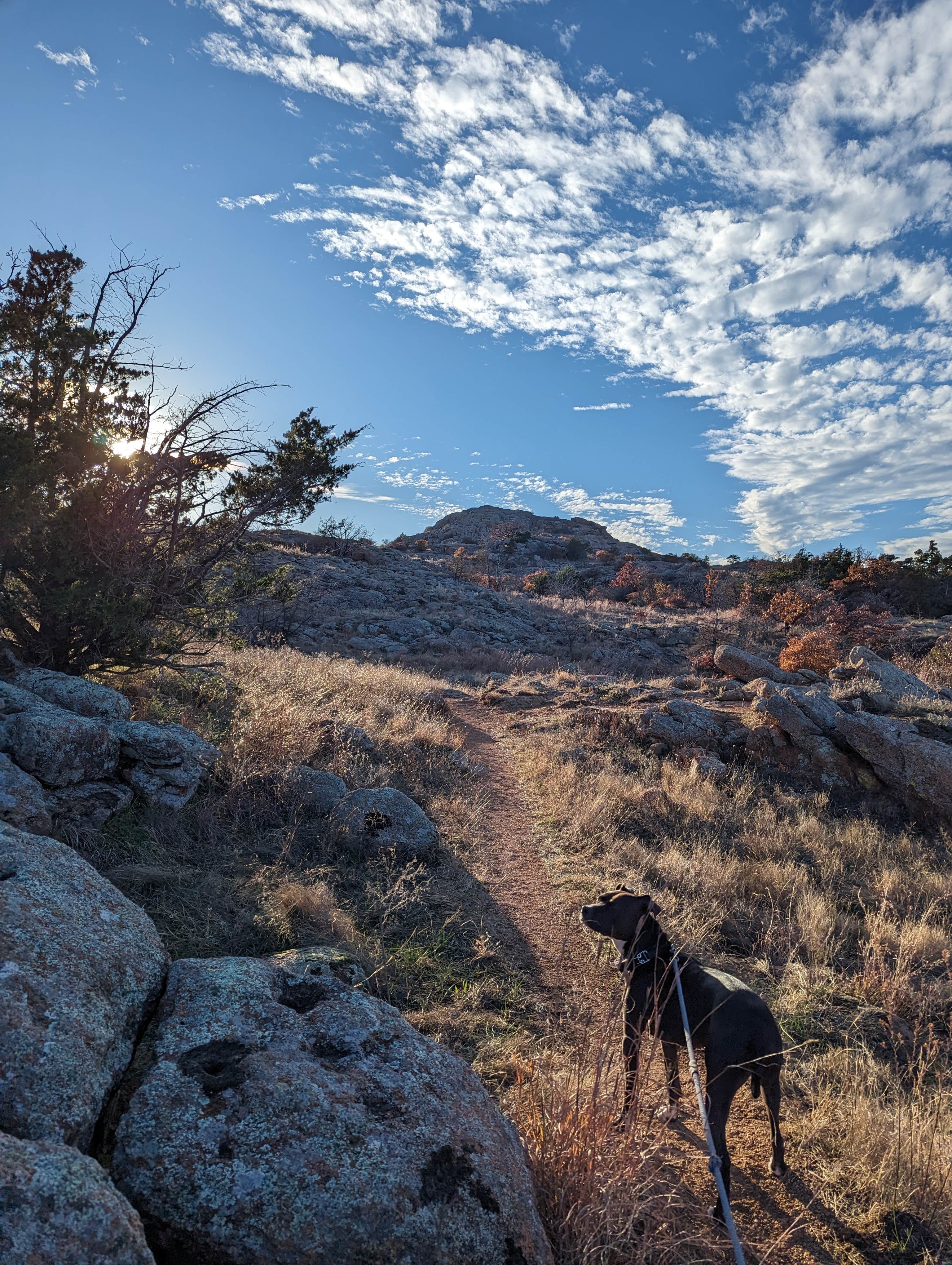 Kristi D.'s photo of camping with pets at Doris Campground near Medicine Park, OK