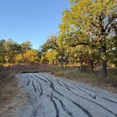 Review photo of Doris Campground by Lauren W., November 8, 2025