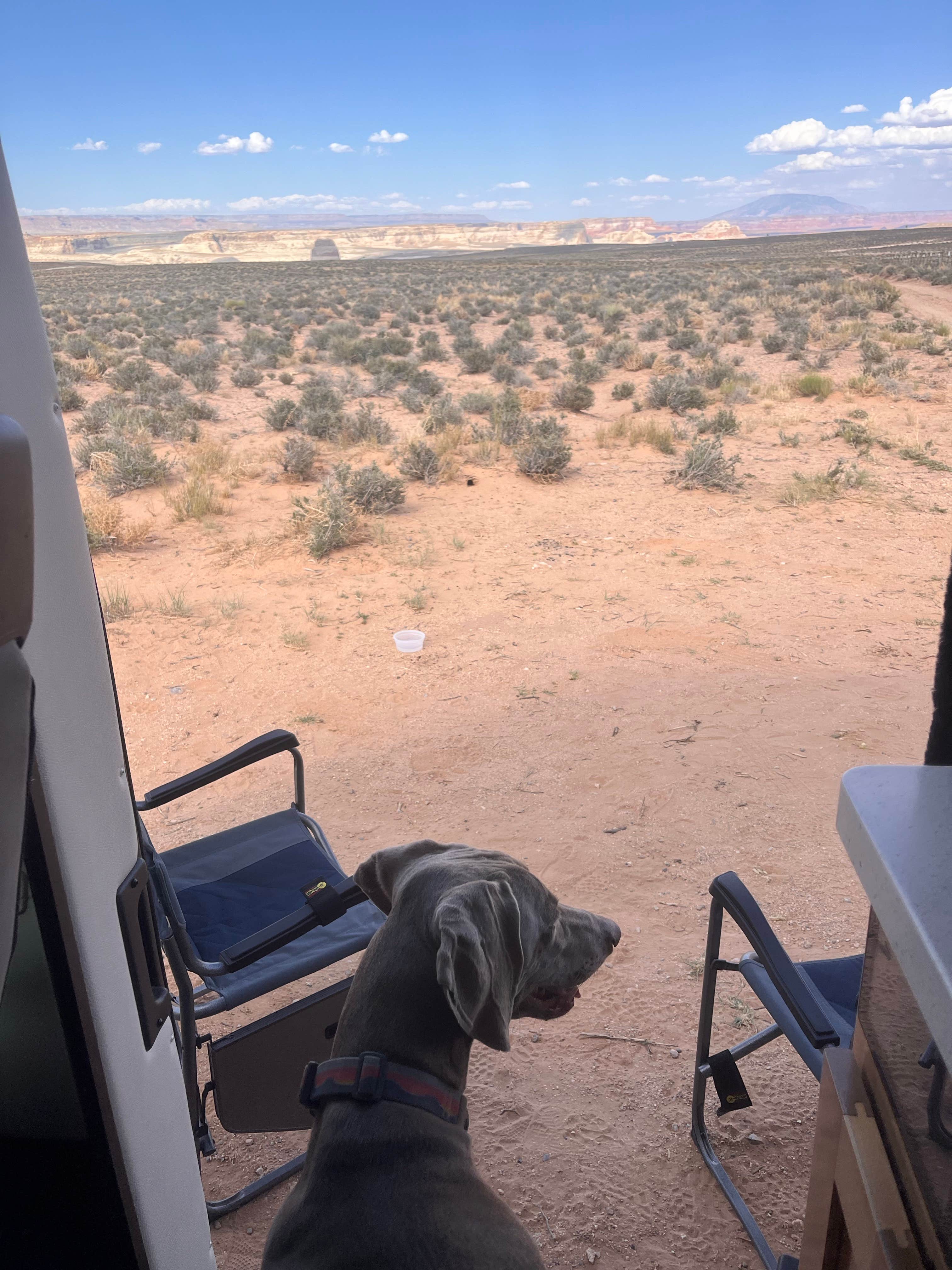 Julie F.'s photo of camping with pets at State Line Spot Dispersed Camping — Glen Canyon National Recreation Area near Page, AZ