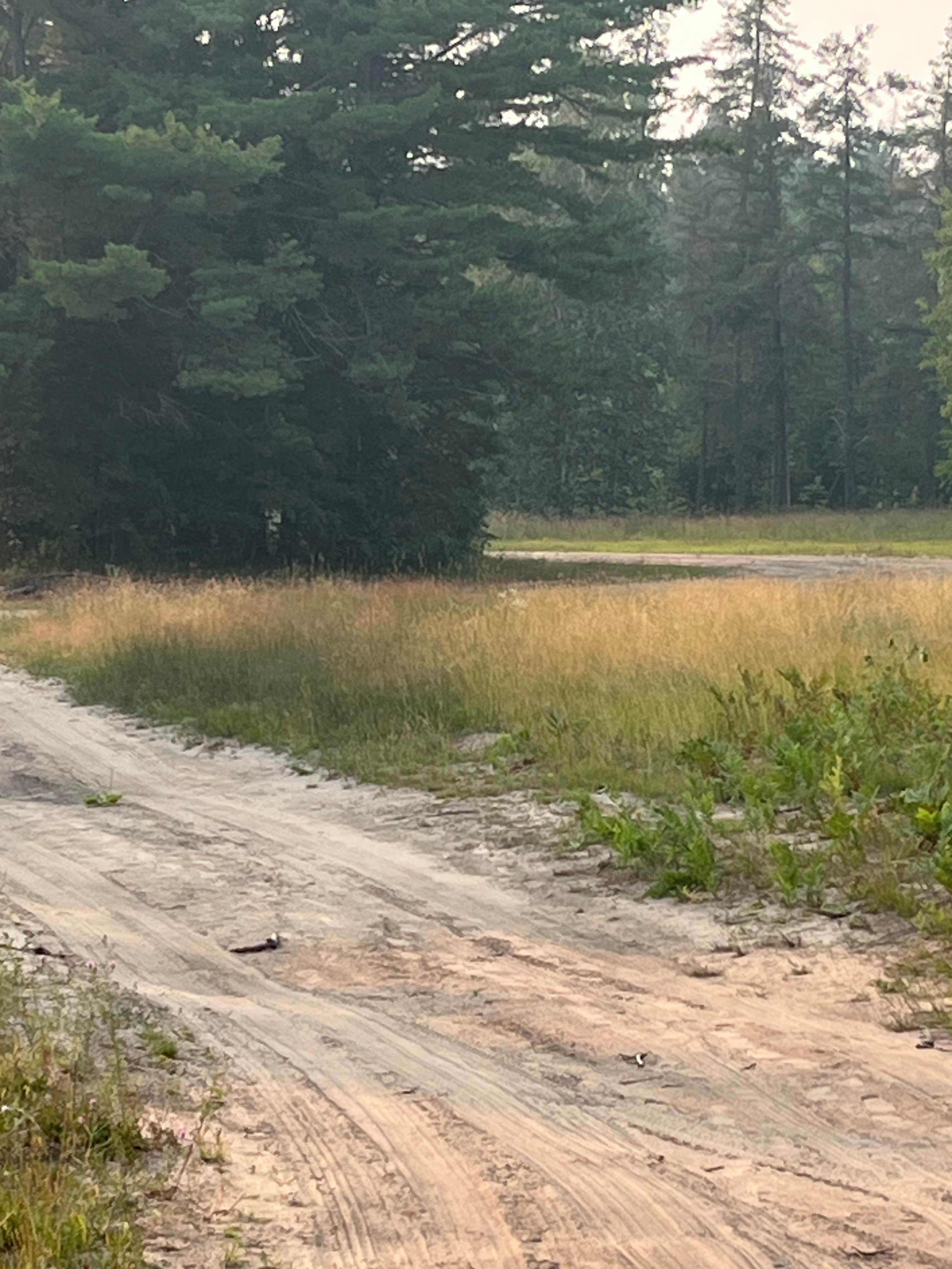 Camper-submitted photo at Wide Waters Dispersed Camping near Rudyard, MI