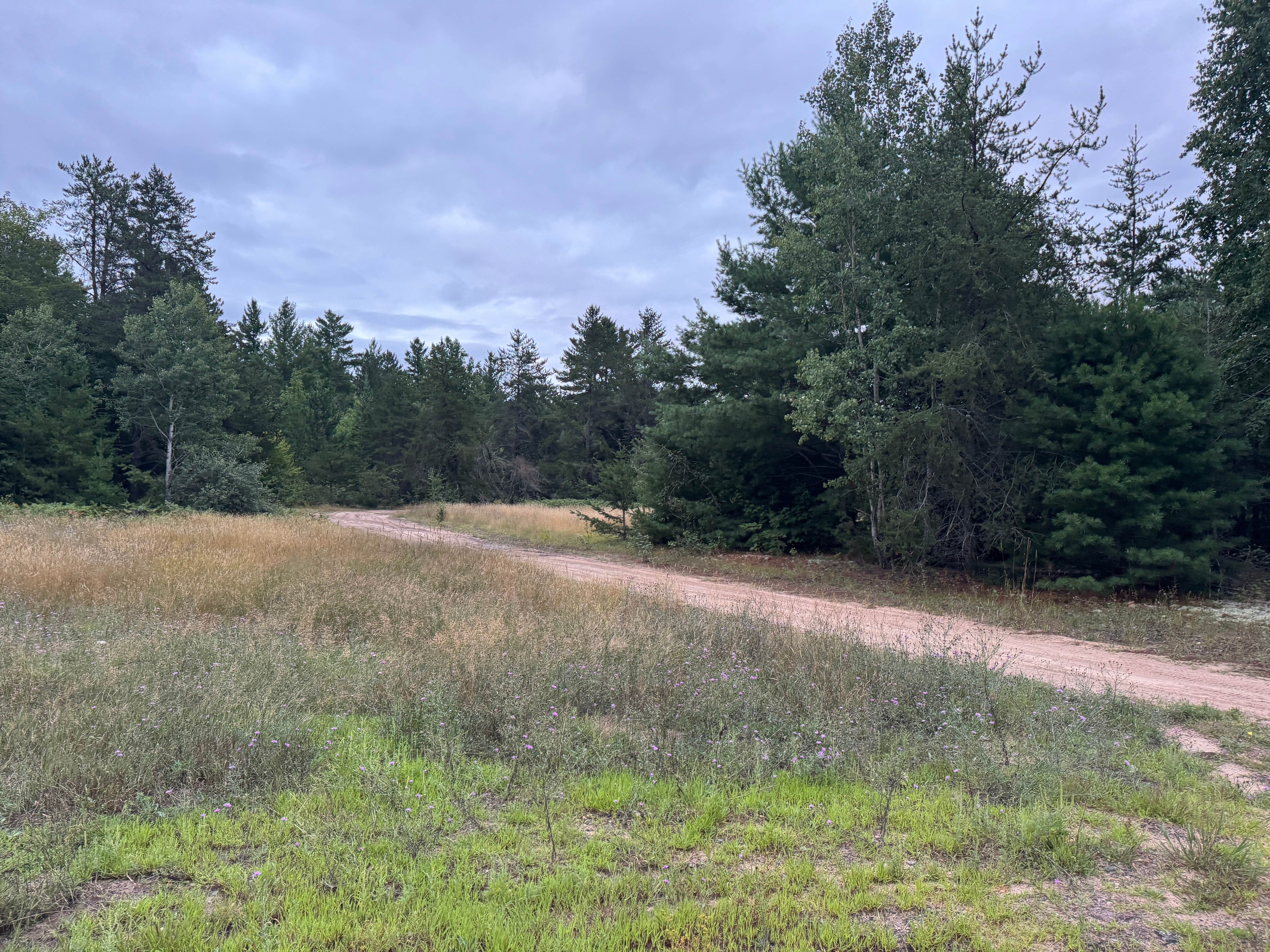 Camper-submitted photo at Wide Waters Dispersed Camping near Rudyard, MI