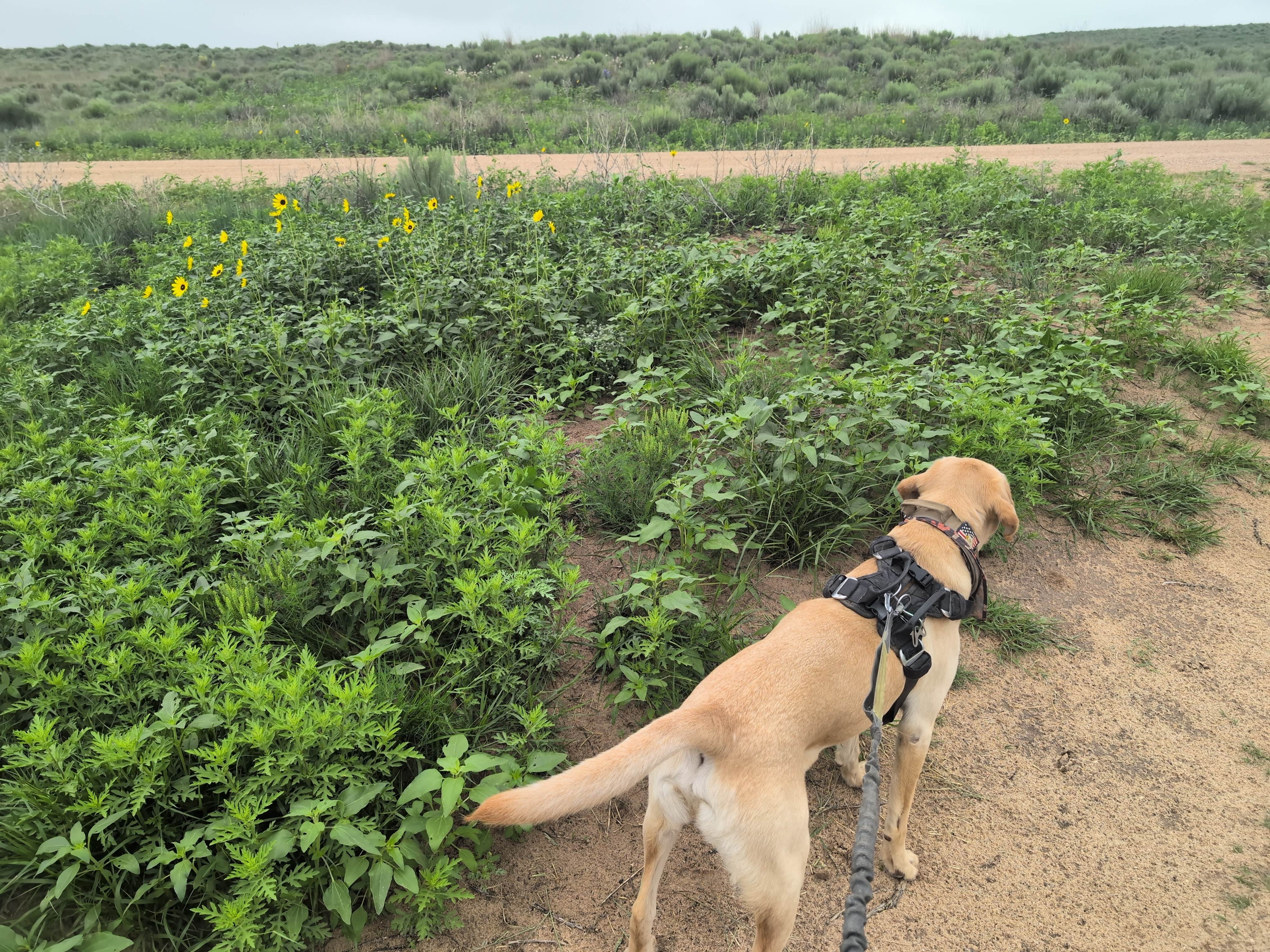 Camper-submitted photo at Wilburton Fishing Pond near Richfield, KS