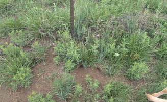 Rick M.'s photo of camping with pets at Wilburton Fishing Pond near Campo, CO