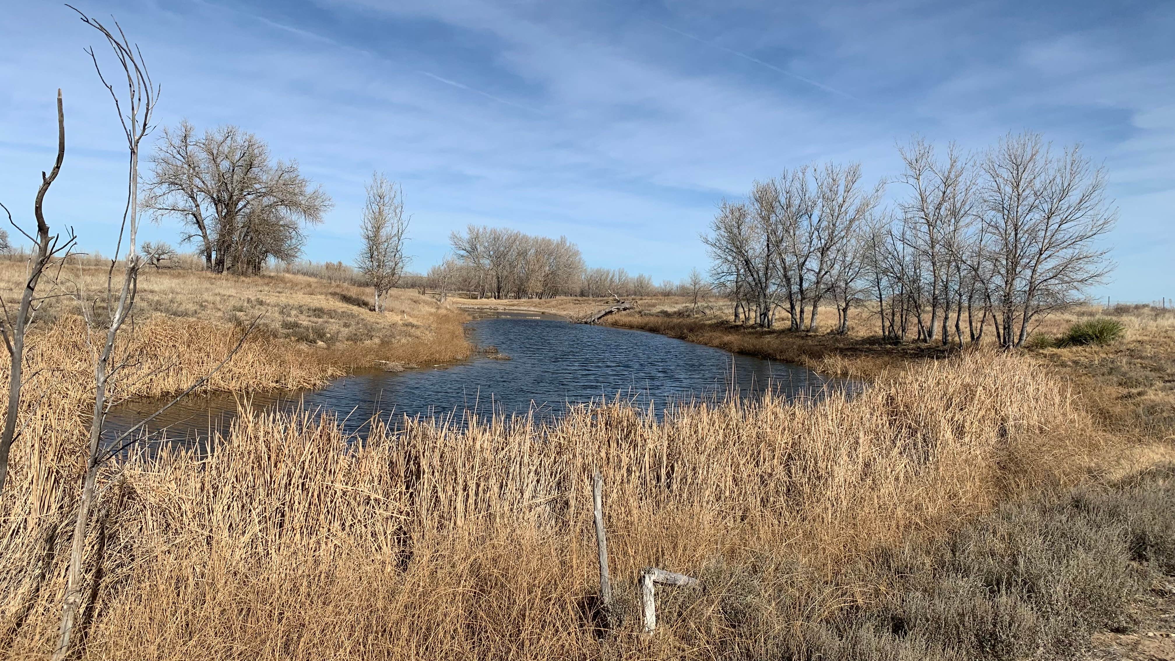 Camper submitted image from Wilburton Fishing Pond - 5