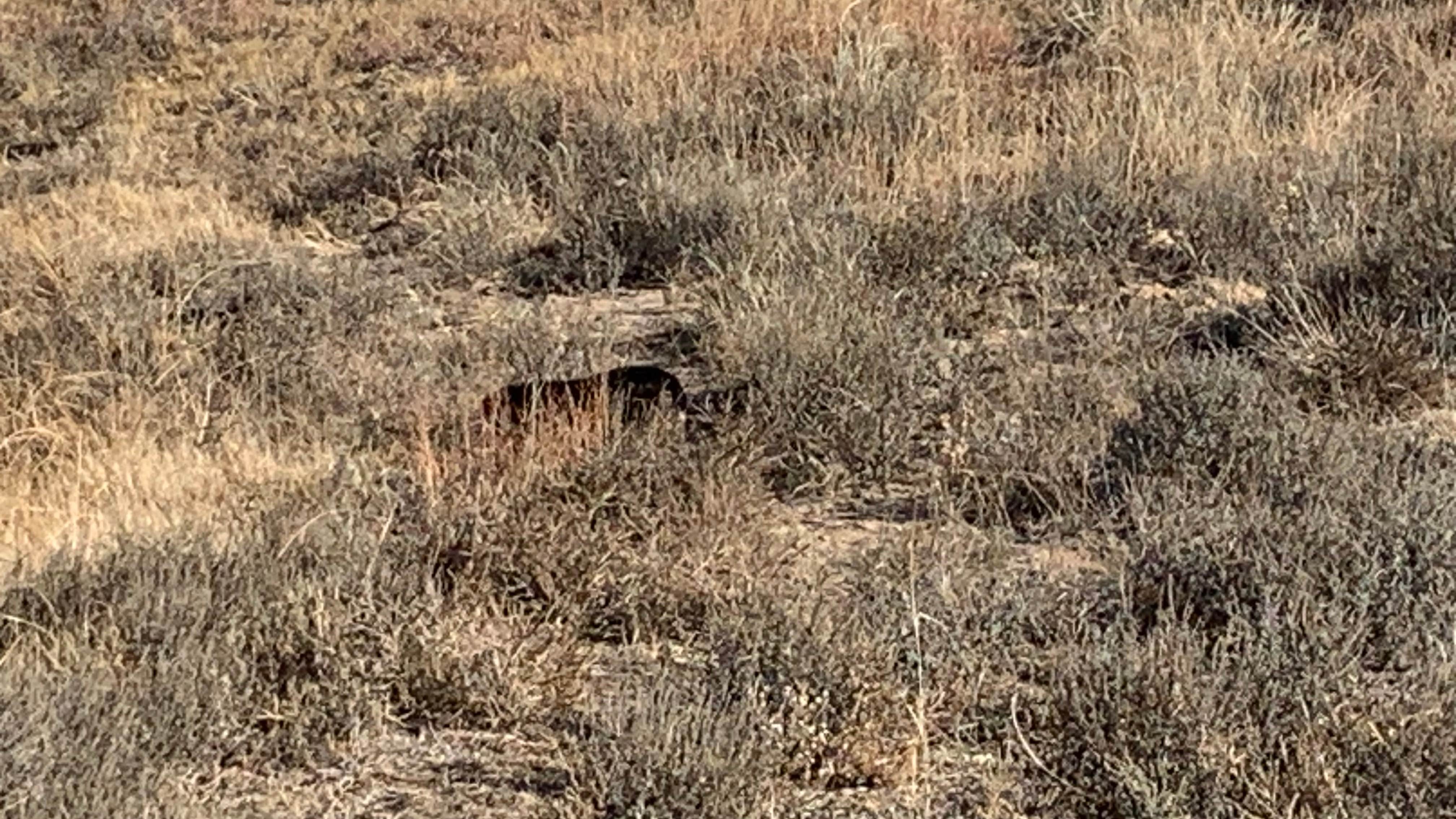 Camper-submitted photo at Wilburton Fishing Pond near Richfield, KS