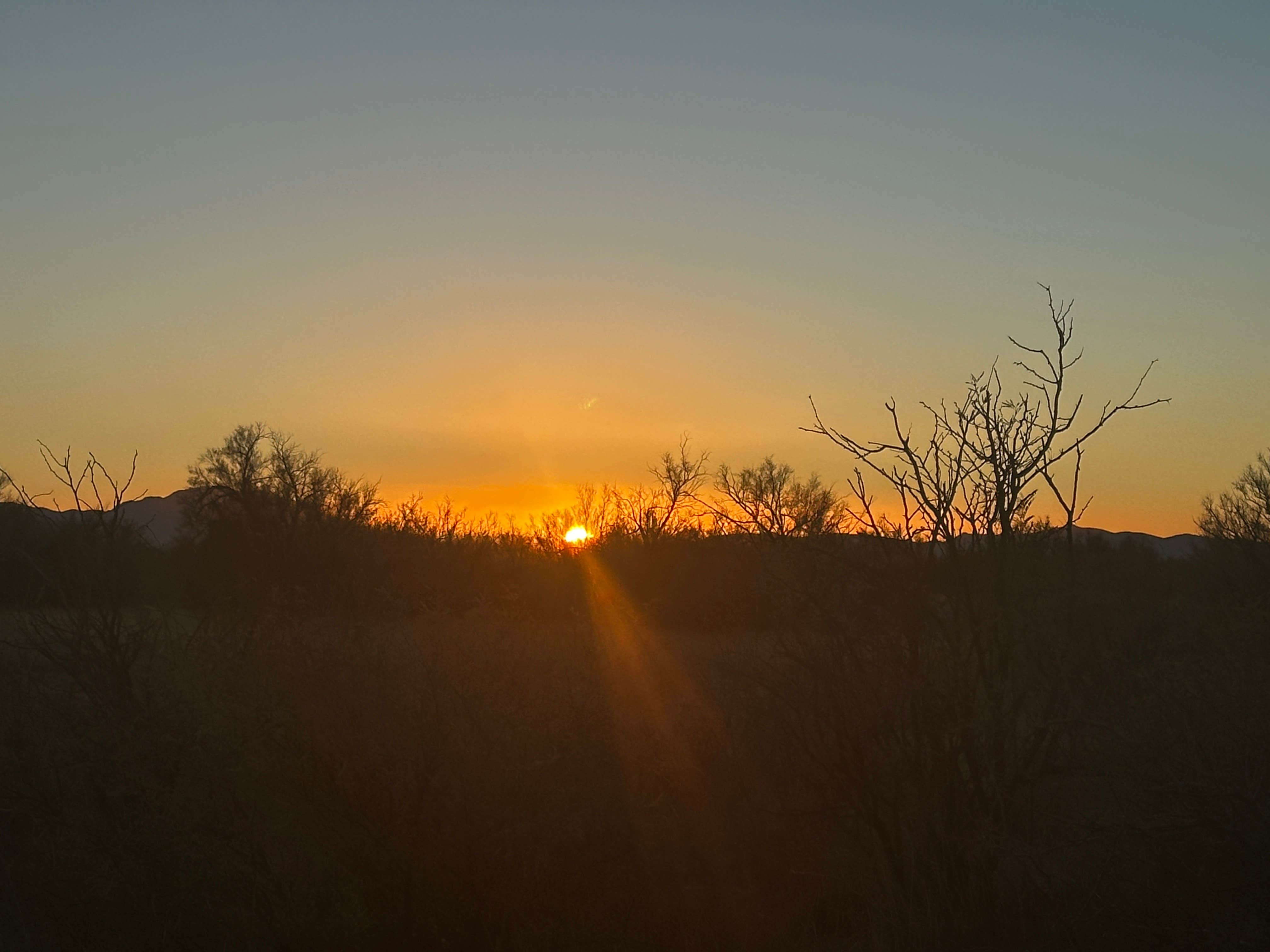 Camper submitted image from Wilcox Playa Viewing Area - Dispersed Camping - 1