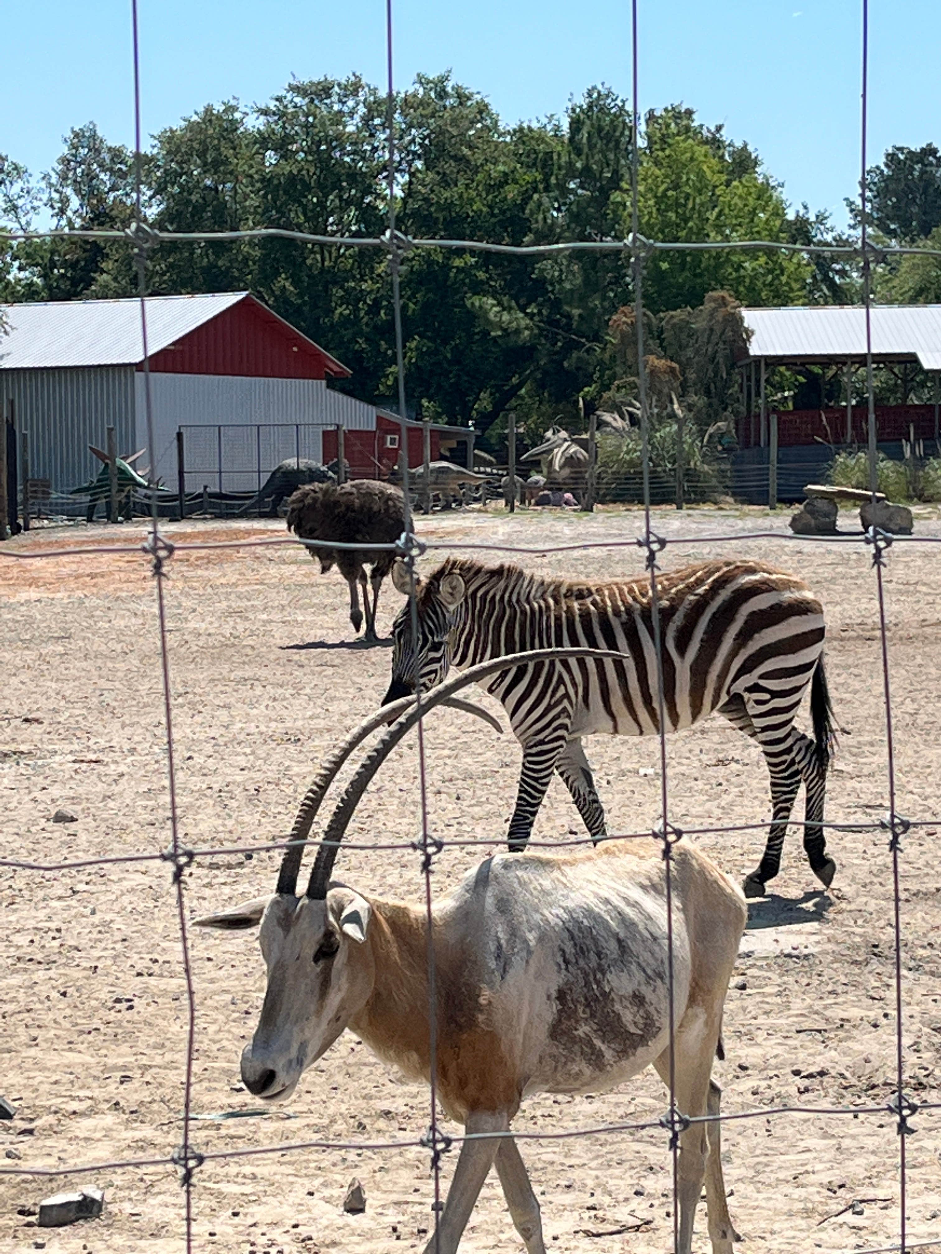 Camper-submitted photo at wild adventures campground near Adel, GA