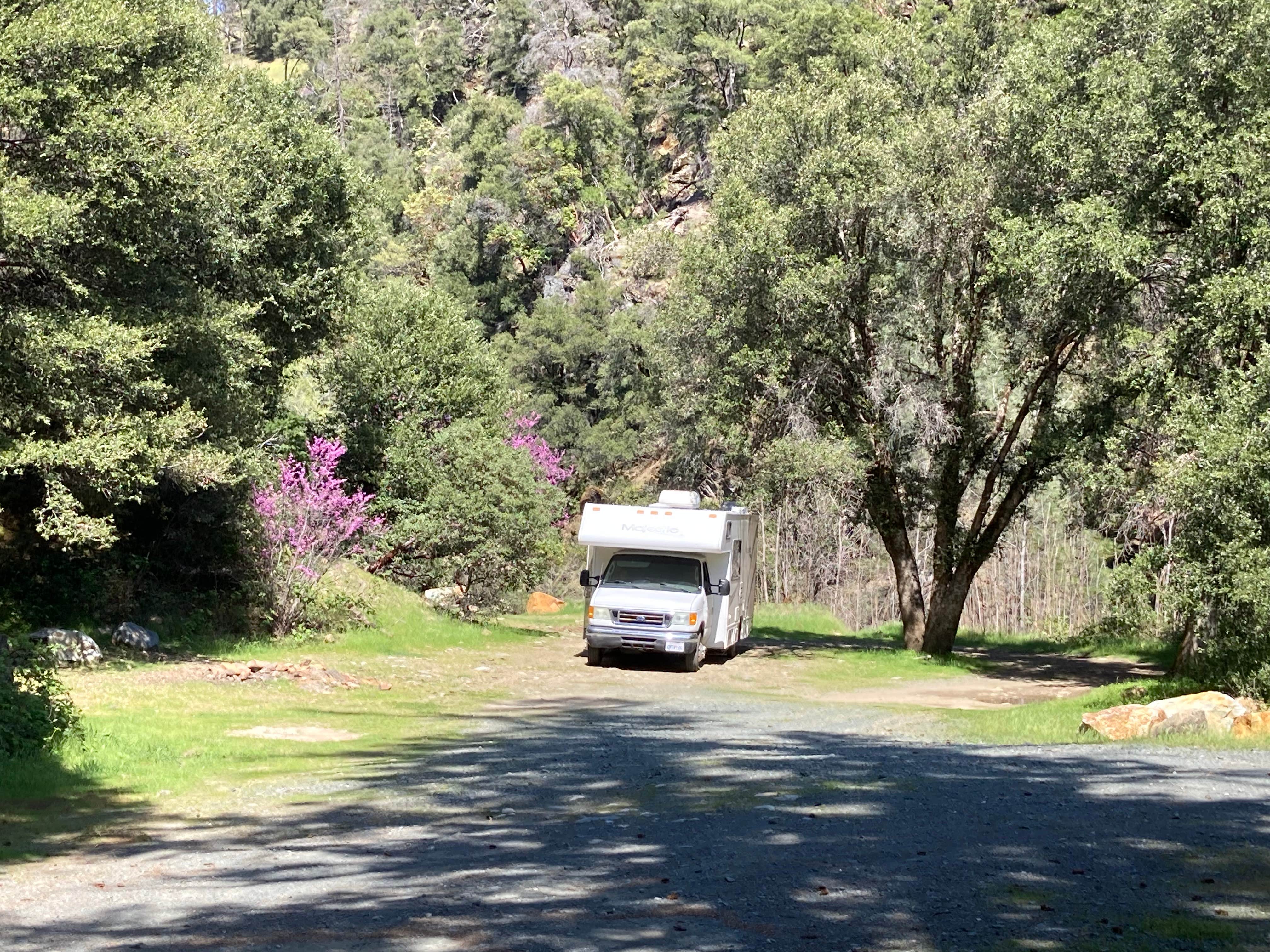 Camping near Peltier Bridge Primitive Campground — Whiskeytown-Shasta-Trinity National Recreation Area: Wild and Senic Trinity River Grapevine River Access Dispersed Site, French Gulch, California