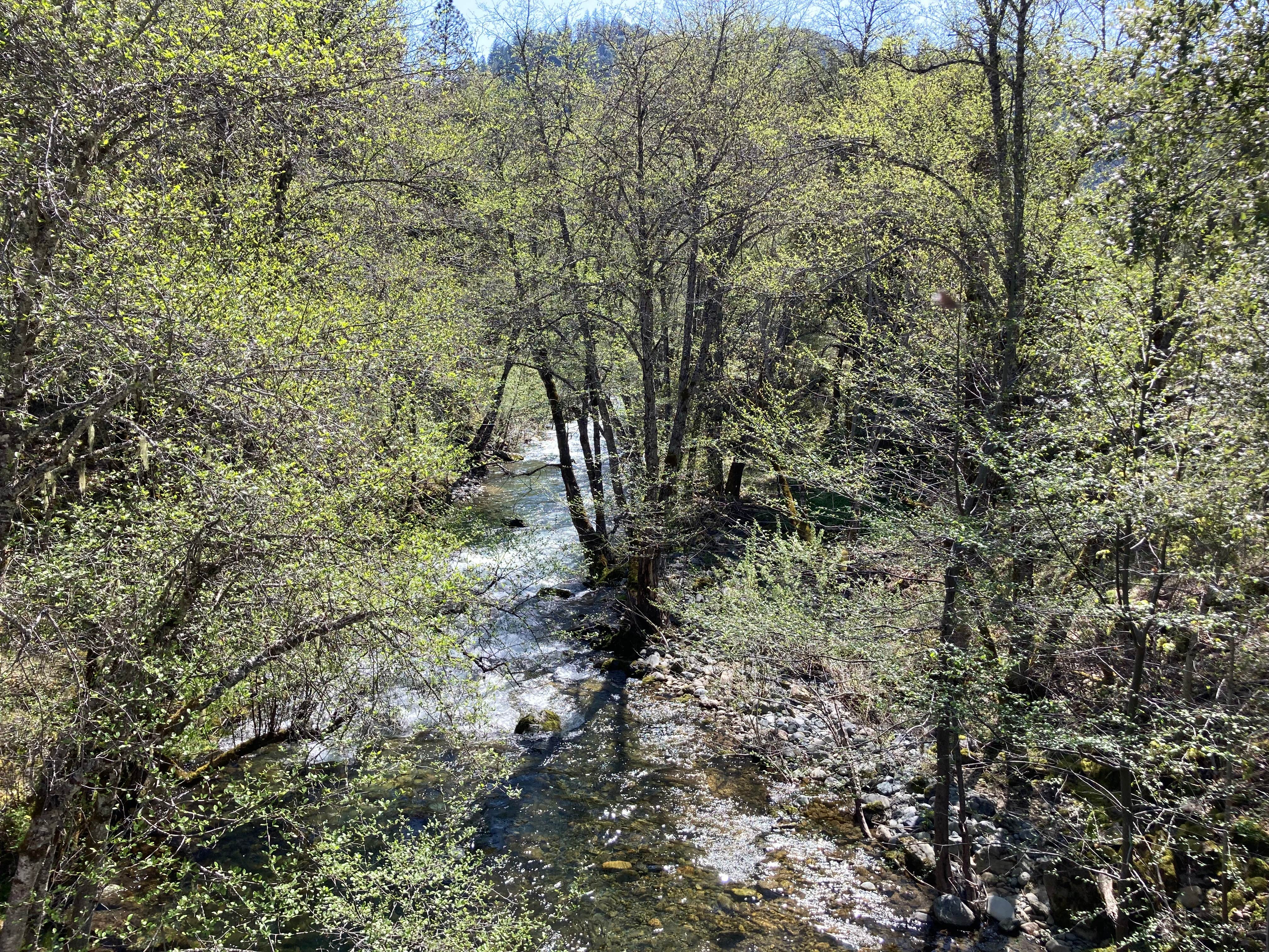 Camper-submitted photo at Wild and Senic Trinity River Grapevine River Access Dispersed Site near Lakehead, CA
