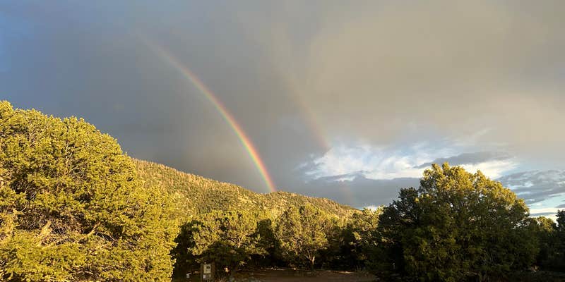 Camper submitted image from Wild Cherry Creek Trailhead