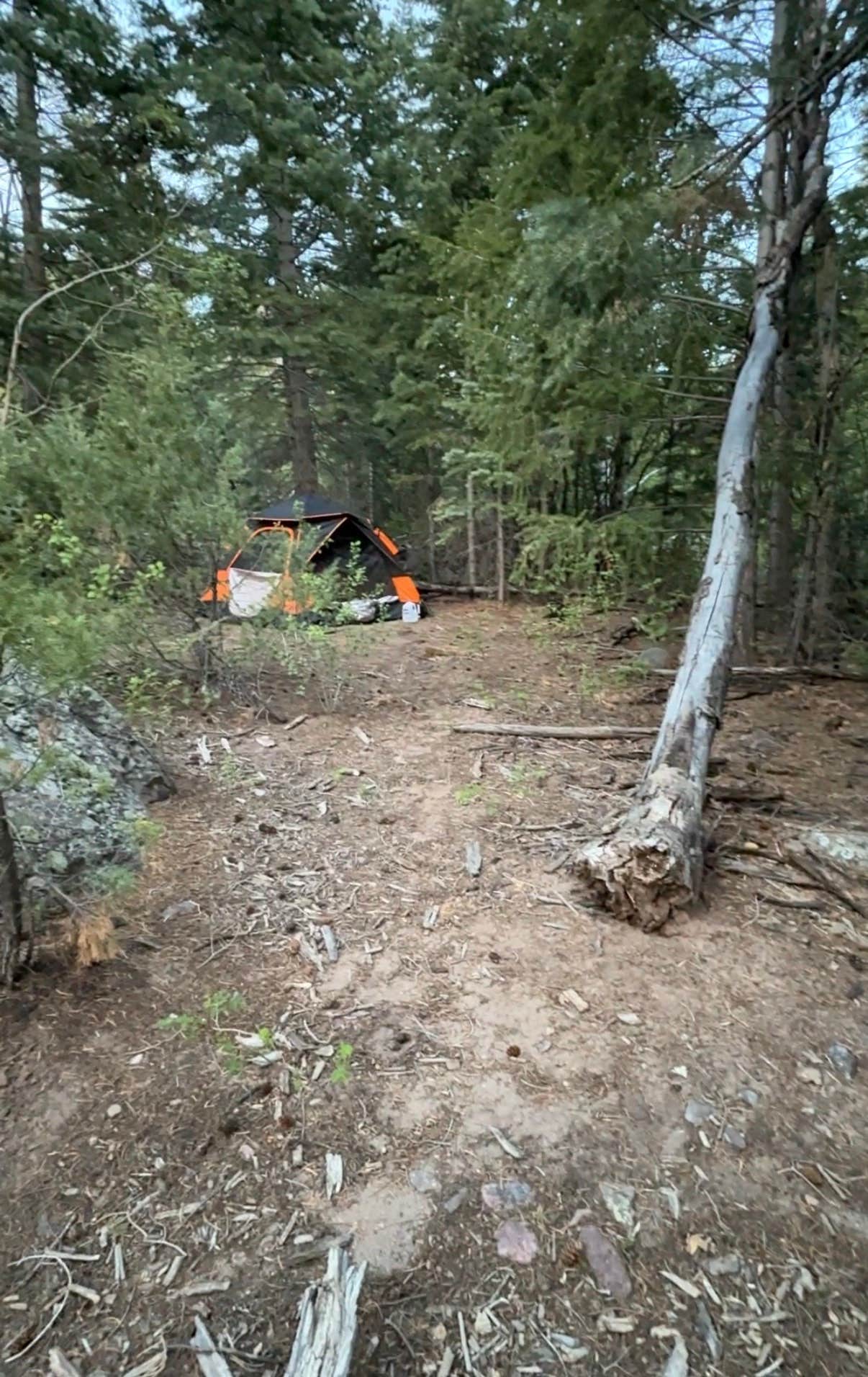 Camper-submitted photo at Wild Cherry Creek Trailhead near Crestone, CO