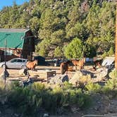 Review photo of Wild Horse Mountain View by Saraya C., July 8, 2026