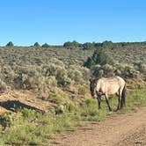 Review photo of Wild Horse Mountain View by Saraya C., July 8, 2026