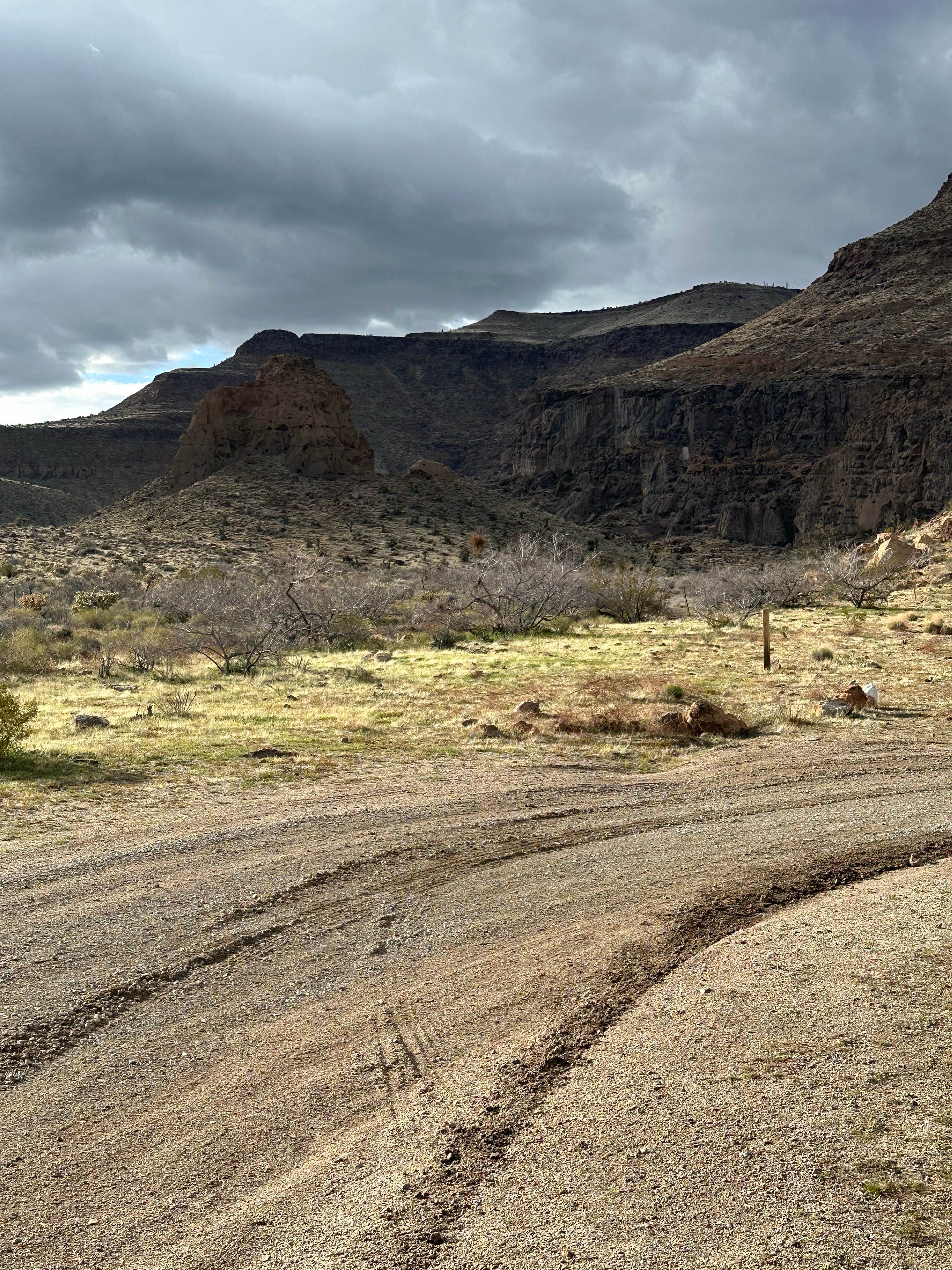 Camper-submitted photo at Wild Horse Road Dispersed near Mohave Valley, AZ