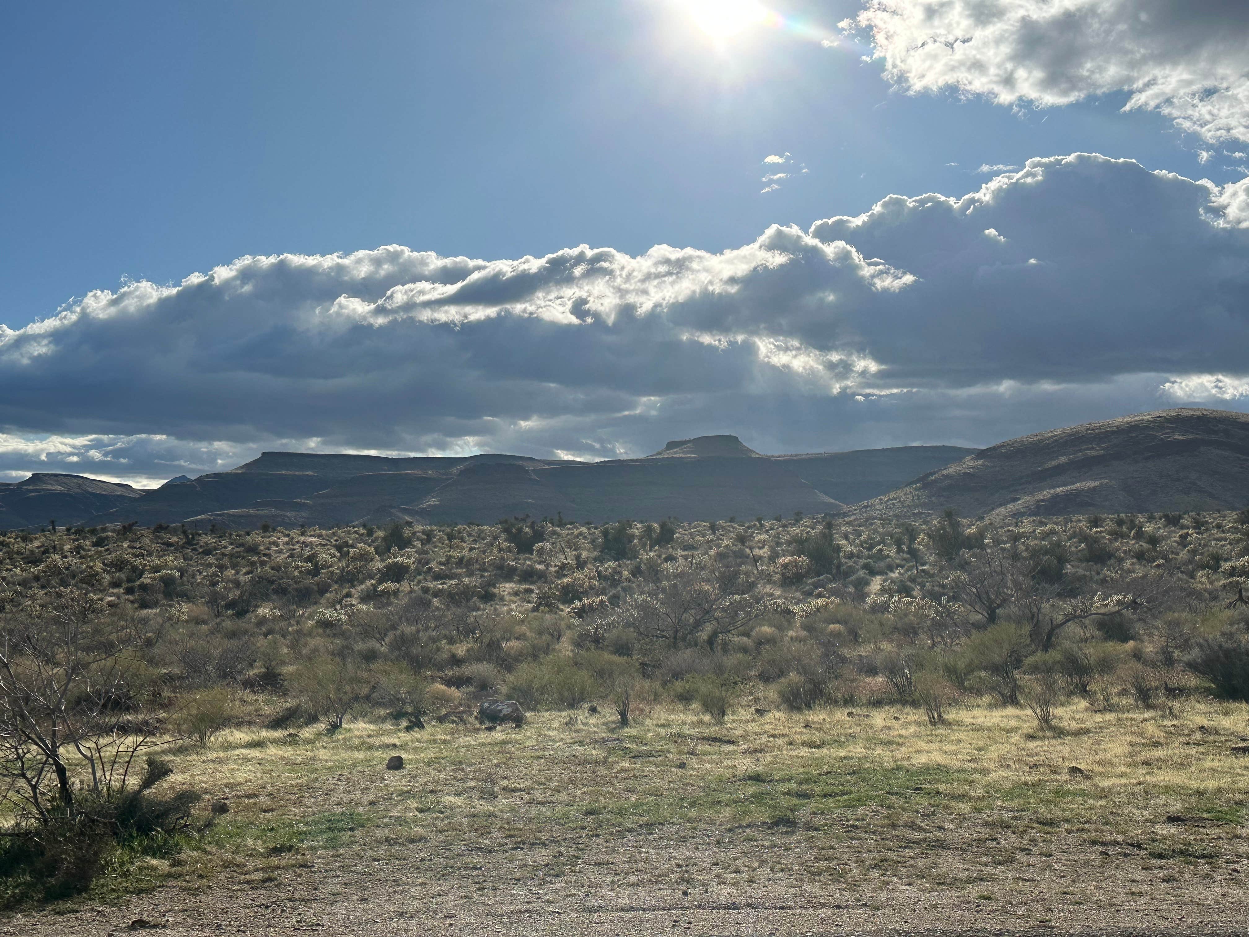 Camper-submitted photo at Wild Horse Road Dispersed near Mohave Valley, AZ
