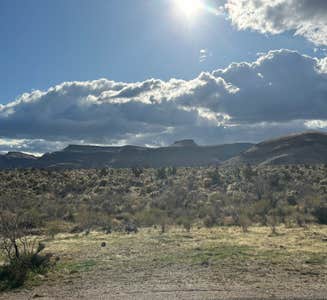 Camper-submitted photo from Wild Horse Road Dispersed