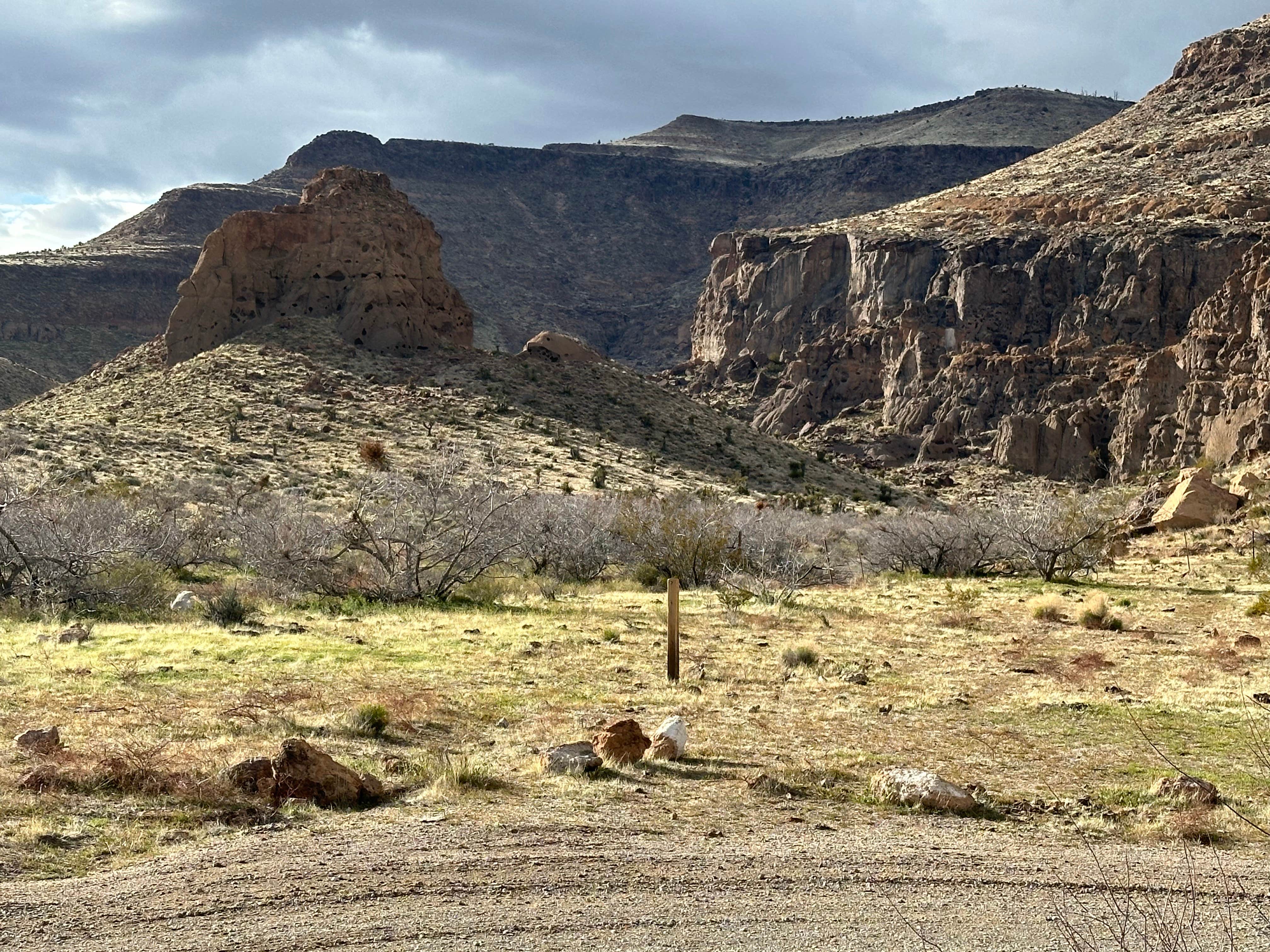 Camping near Piute Range Dispersed Camping — Mojave National Preserve: Wild Horse Road Dispersed, Mojave National Preserve, California