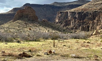 Camping near Piute Range Dispersed Camping — Mojave National Preserve: Wild Horse Road Dispersed, Mojave National Preserve, California