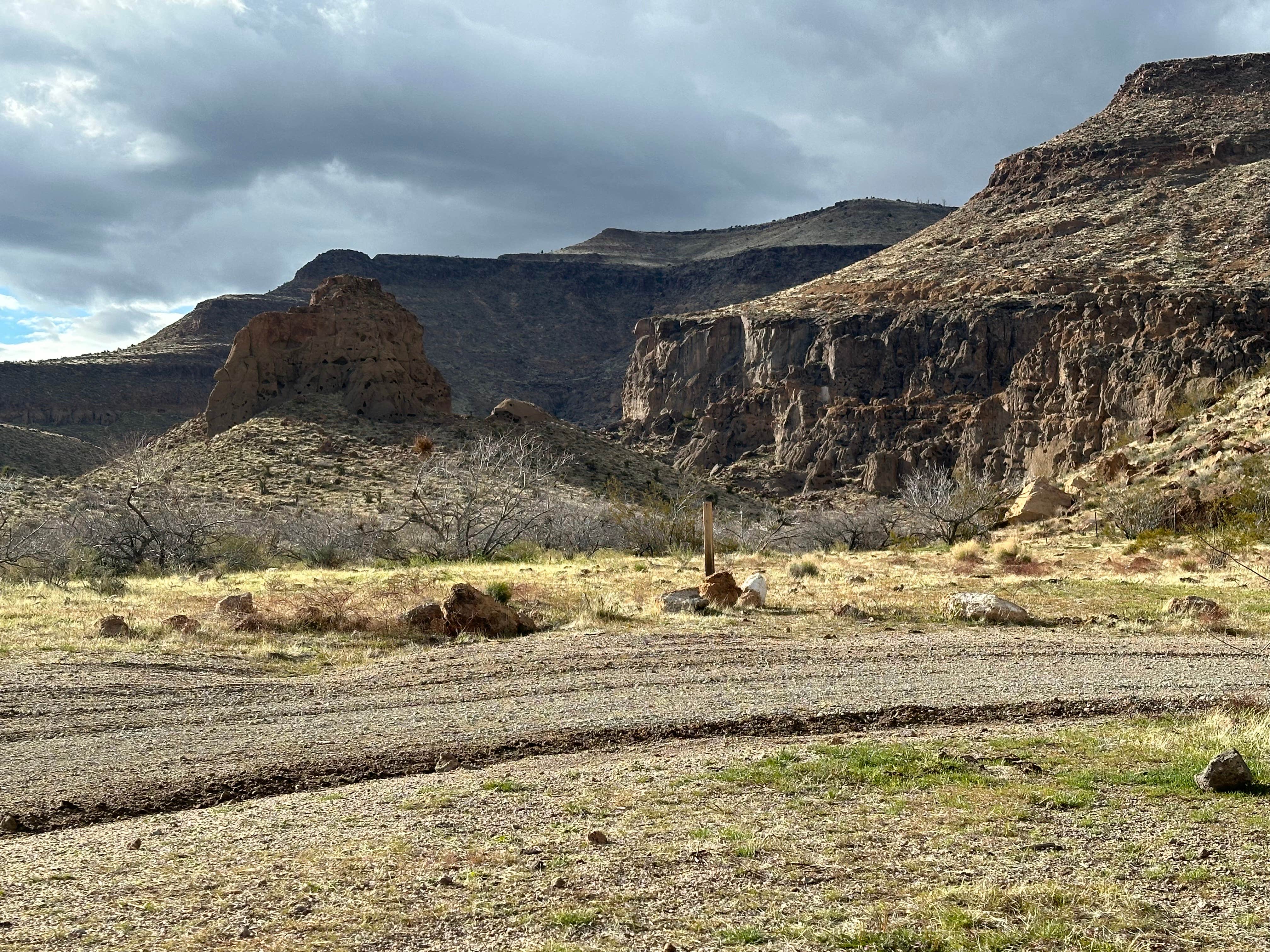 Camper submitted image from Wild Horse Road Dispersed - 3