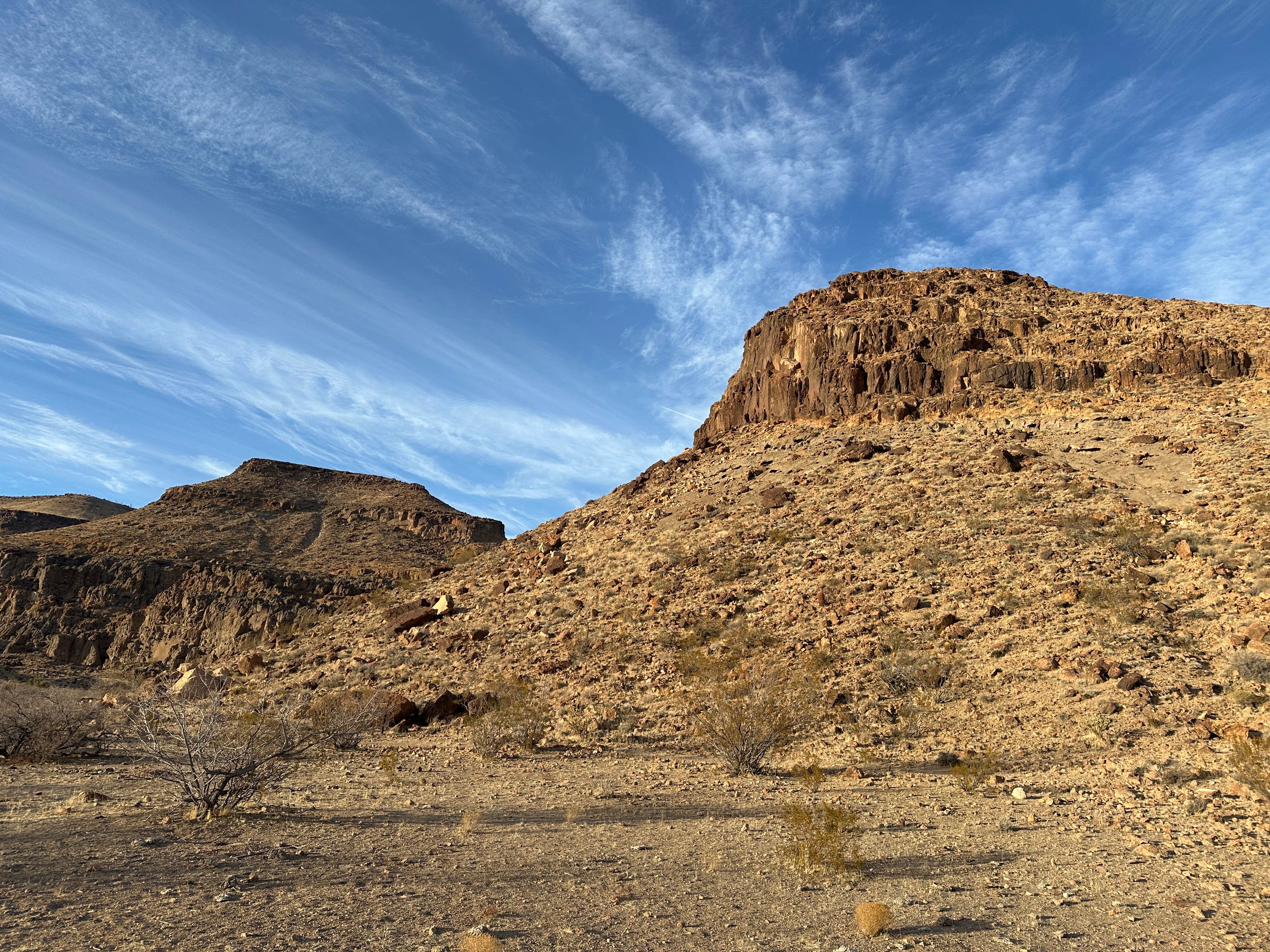 Camper-submitted photo at Wild Horse Road Dispersed near Mohave Valley, AZ