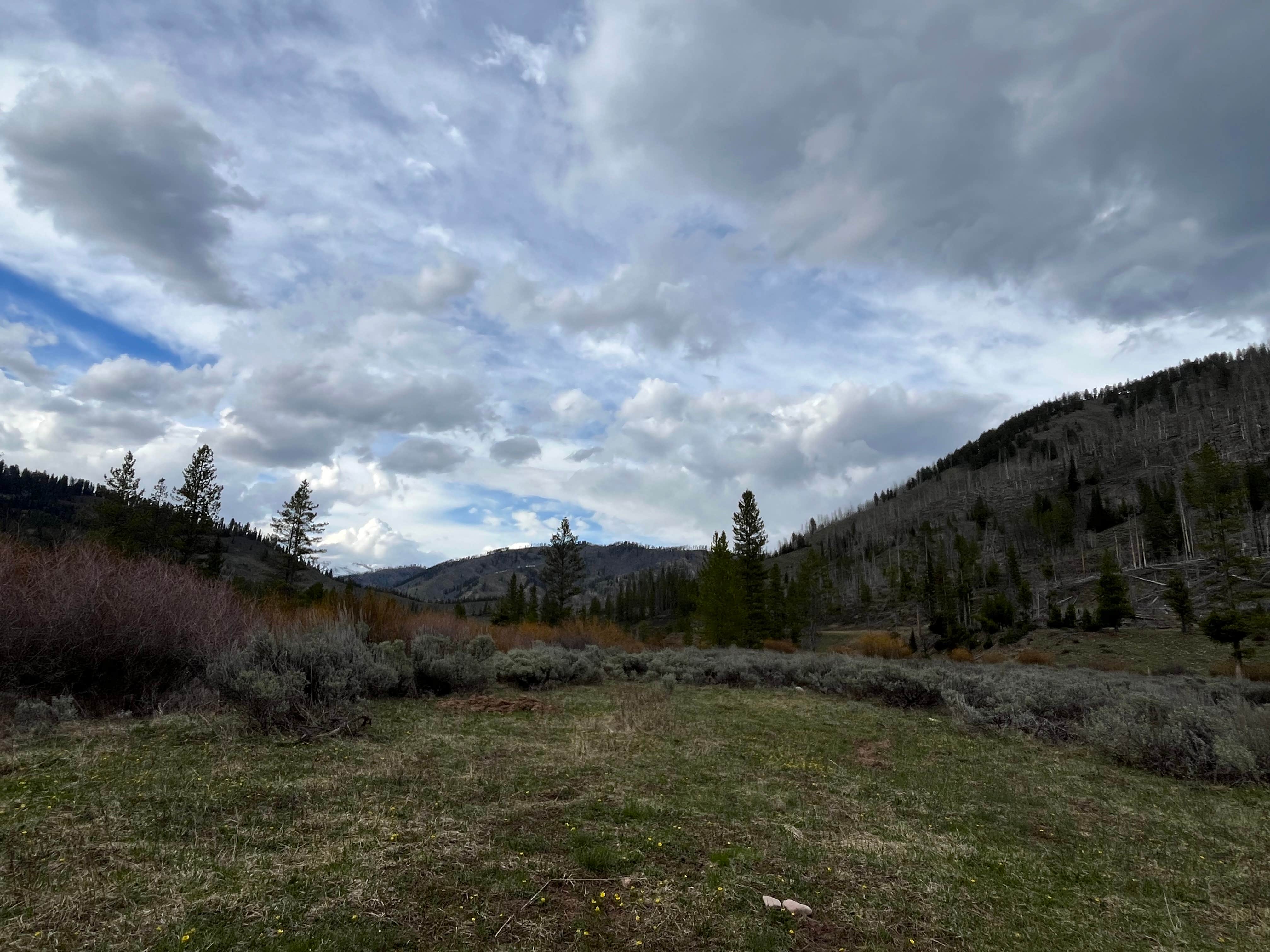 Camper-submitted photo at Wild Iris OK Corral near Farson, WY
