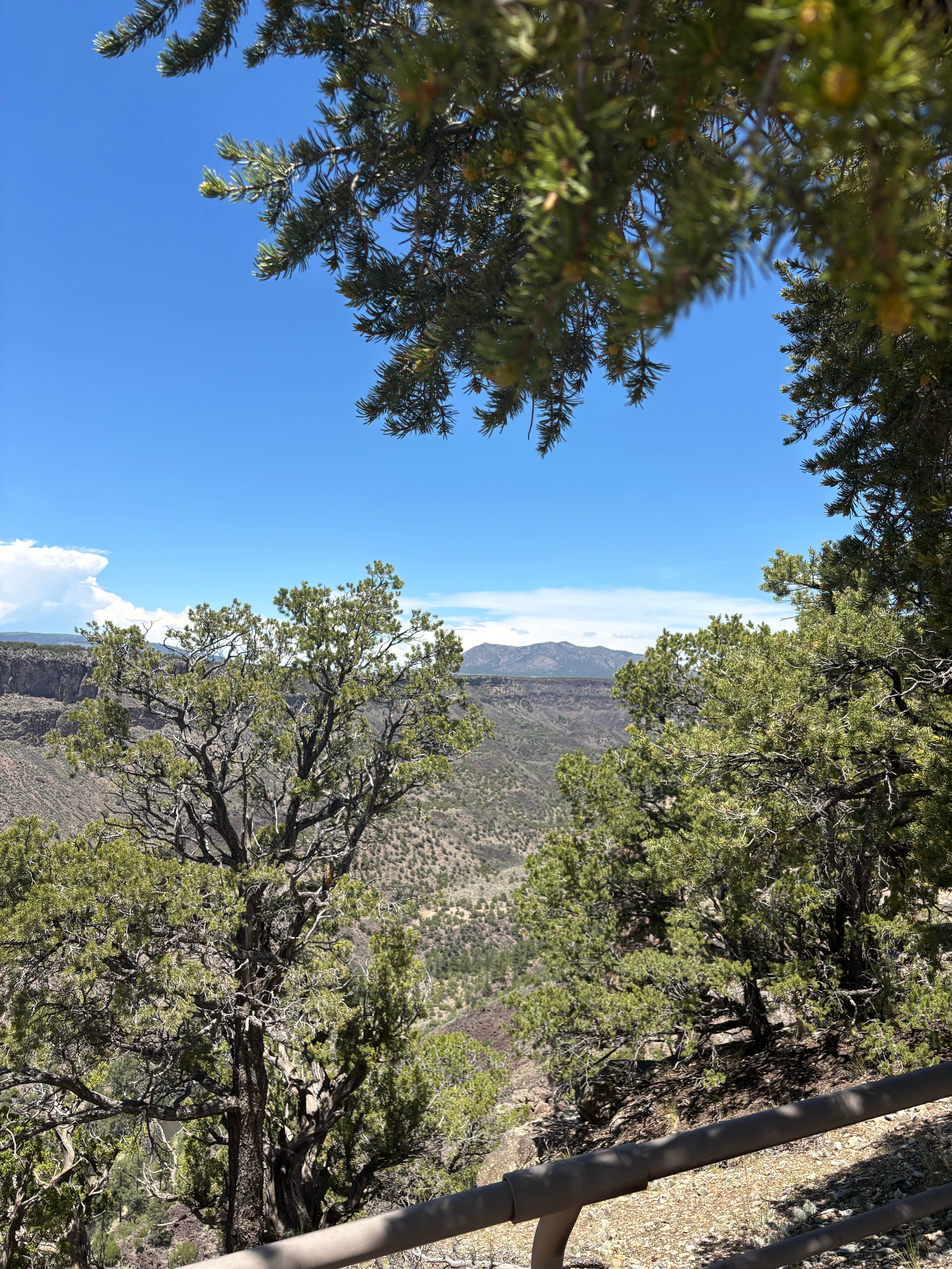 Camper-submitted photo at BLM Wild Rivers Recreation Area near Arroyo Hondo, NM