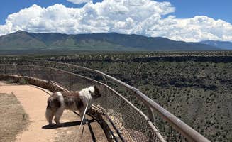 Nora S.'s photo of camping with pets at BLM Wild Rivers Recreation Area near Carson National Forest