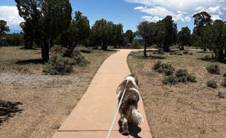 Nora S.'s photo of camping with pets at BLM Wild Rivers Recreation Area near Arroyo Hondo, NM