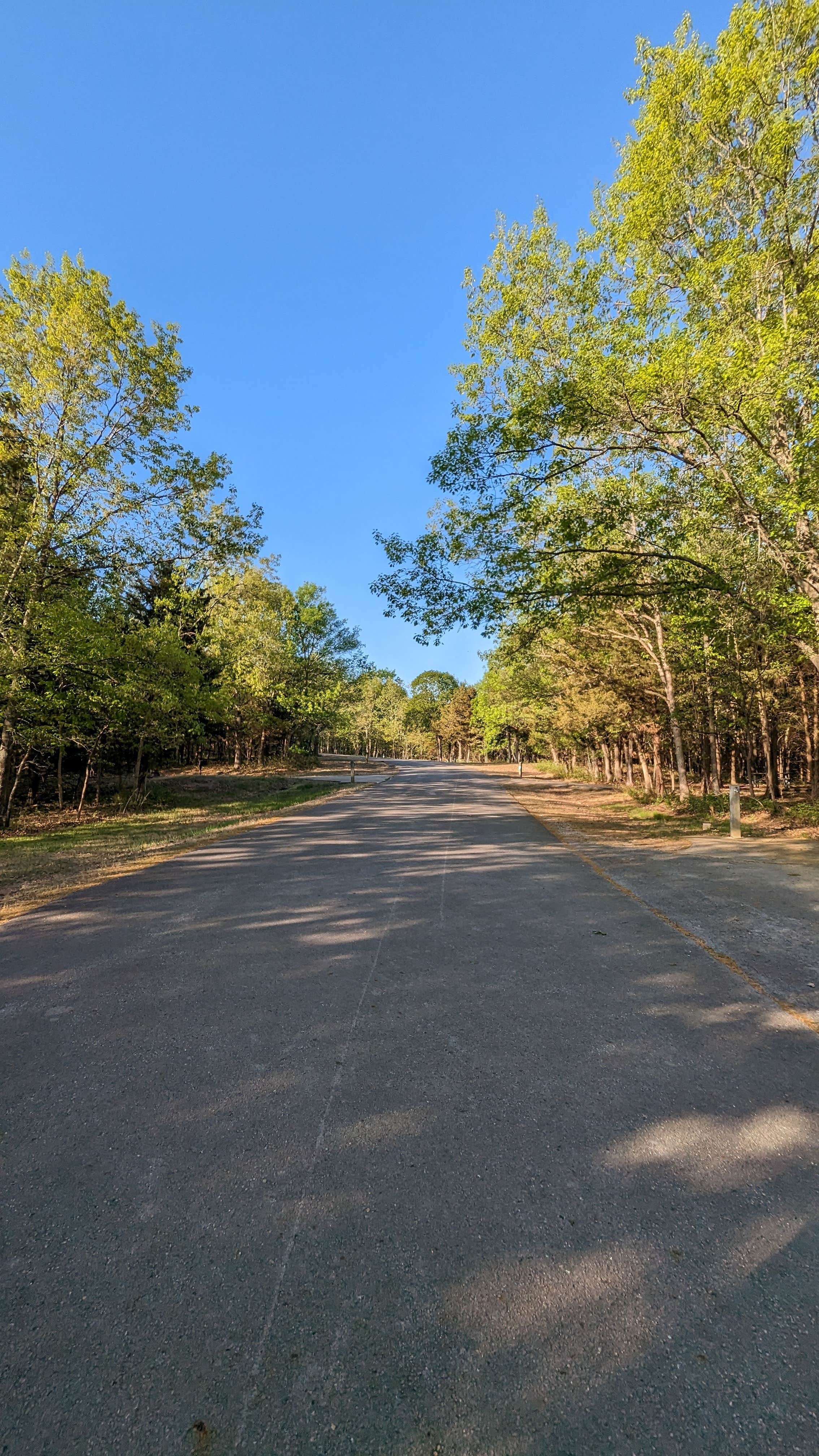 Camper submitted image from Wild Turkey Ridge — Harry S Truman State Park - 3