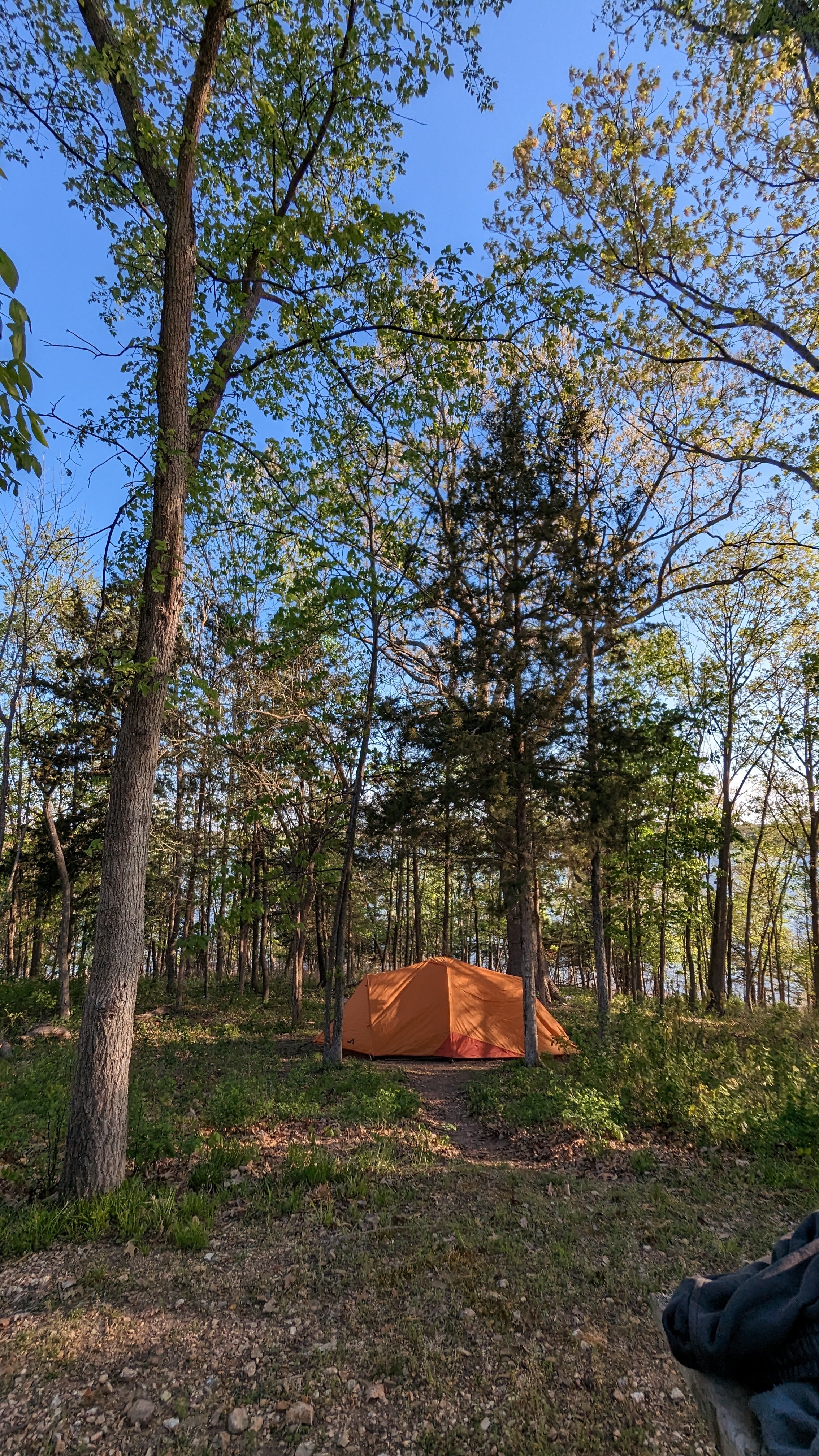 Camper submitted image from Wild Turkey Ridge — Harry S Truman State Park - 1