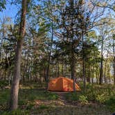 Review photo of Wild Turkey Ridge — Harry S Truman State Park by Leni K., April 7, 2024