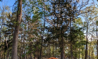 Camping near Shady Grove RV Park: Wild Turkey Ridge — Harry S Truman State Park, Harry S. Truman Lake, Missouri