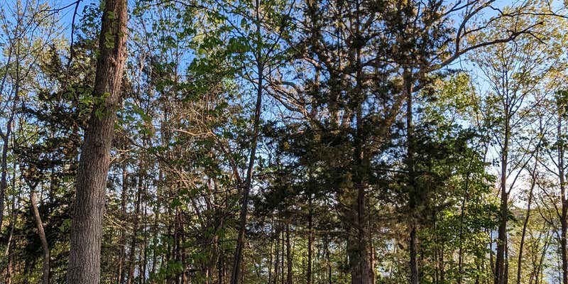 Camper submitted image from Wild Turkey Ridge — Harry S Truman State Park