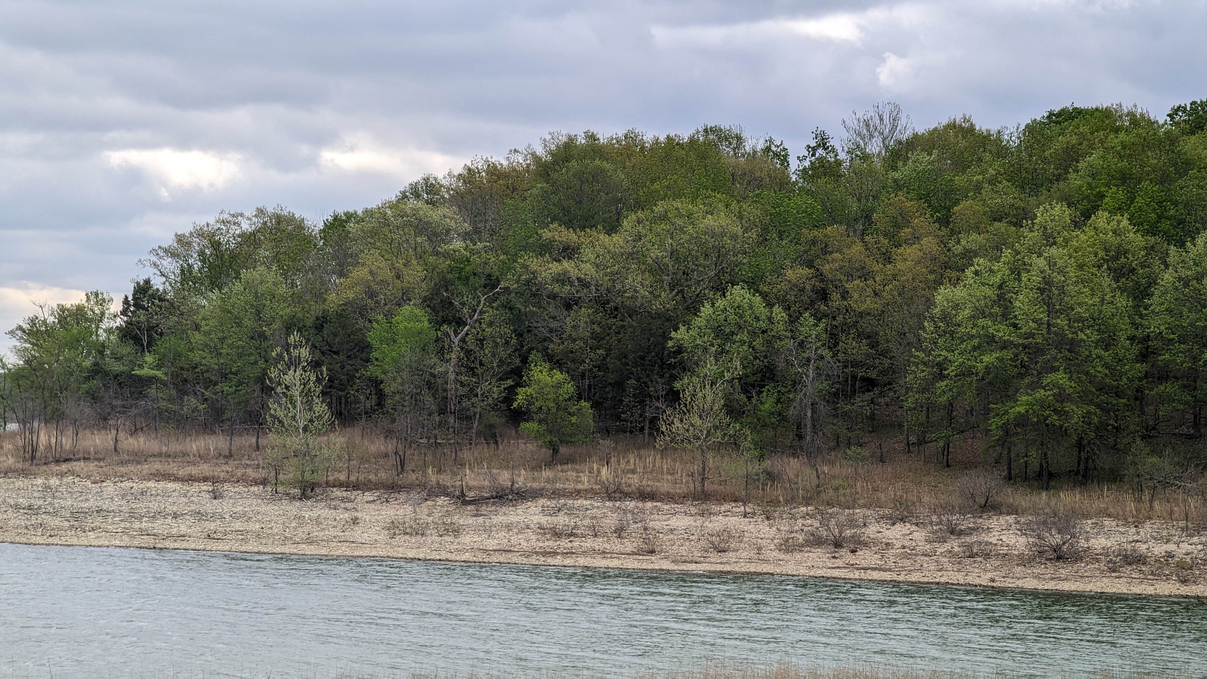Camper submitted image from Wild Turkey Ridge — Harry S Truman State Park - 5
