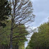 Review photo of Wild Turkey Ridge — Harry S Truman State Park by Leni K., April 7, 2024