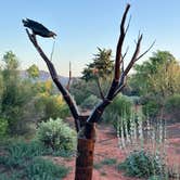 Review photo of Wild West RV Ranch by connie K., February 22, 2026