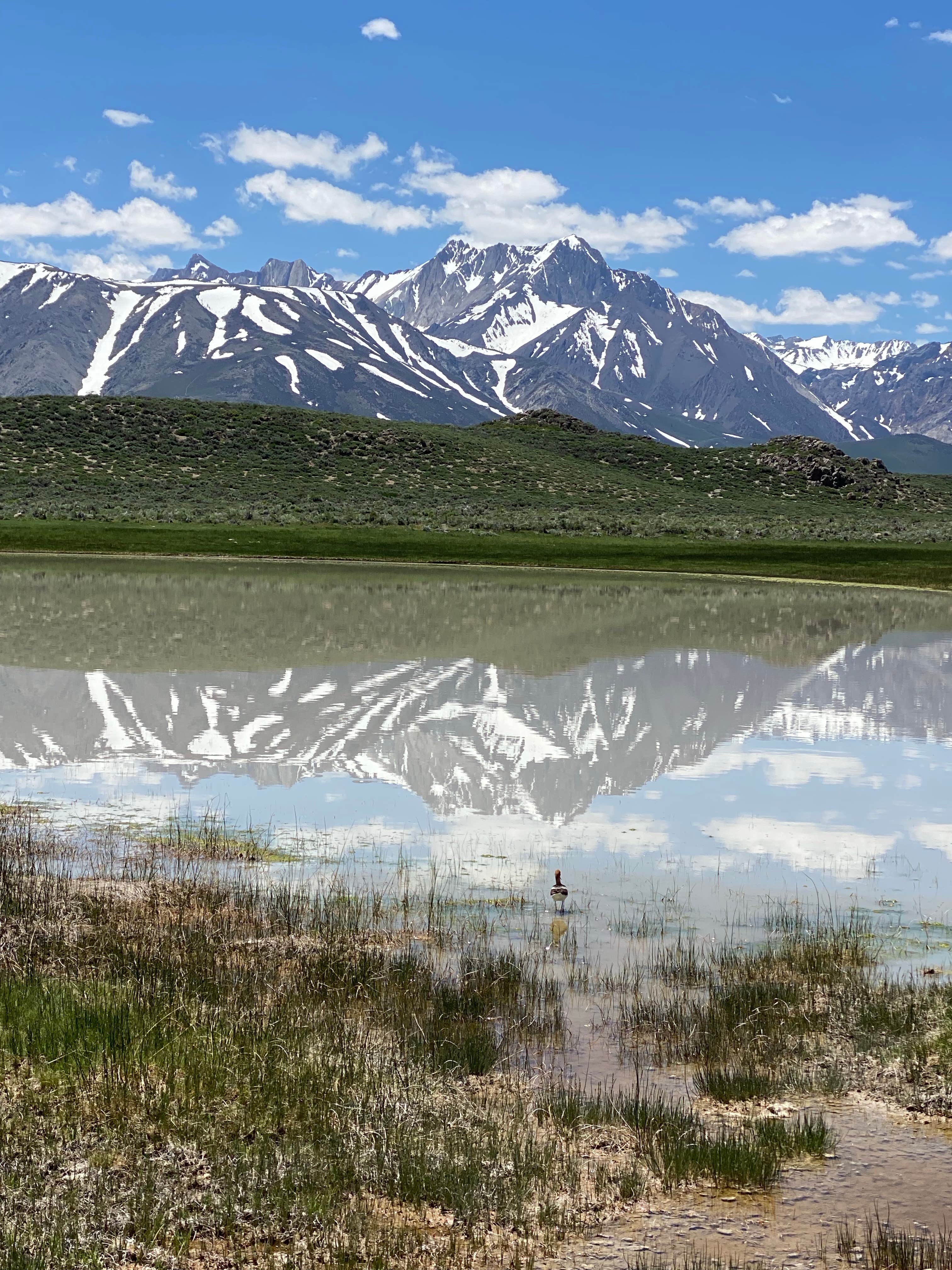 Camper-submitted photo at Wild Willy’s Hot Springs near Benton, CA