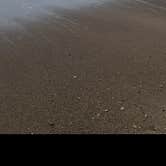 Review photo of Wildcat Campground — Point Reyes National Seashore by Omar E., November 10, 2025