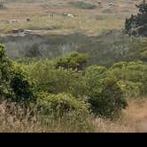 Review photo of Wildcat Campground — Point Reyes National Seashore by Omar E., November 10, 2025
