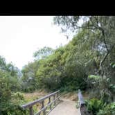 Review photo of Wildcat Campground — Point Reyes National Seashore by Omar E., November 10, 2025