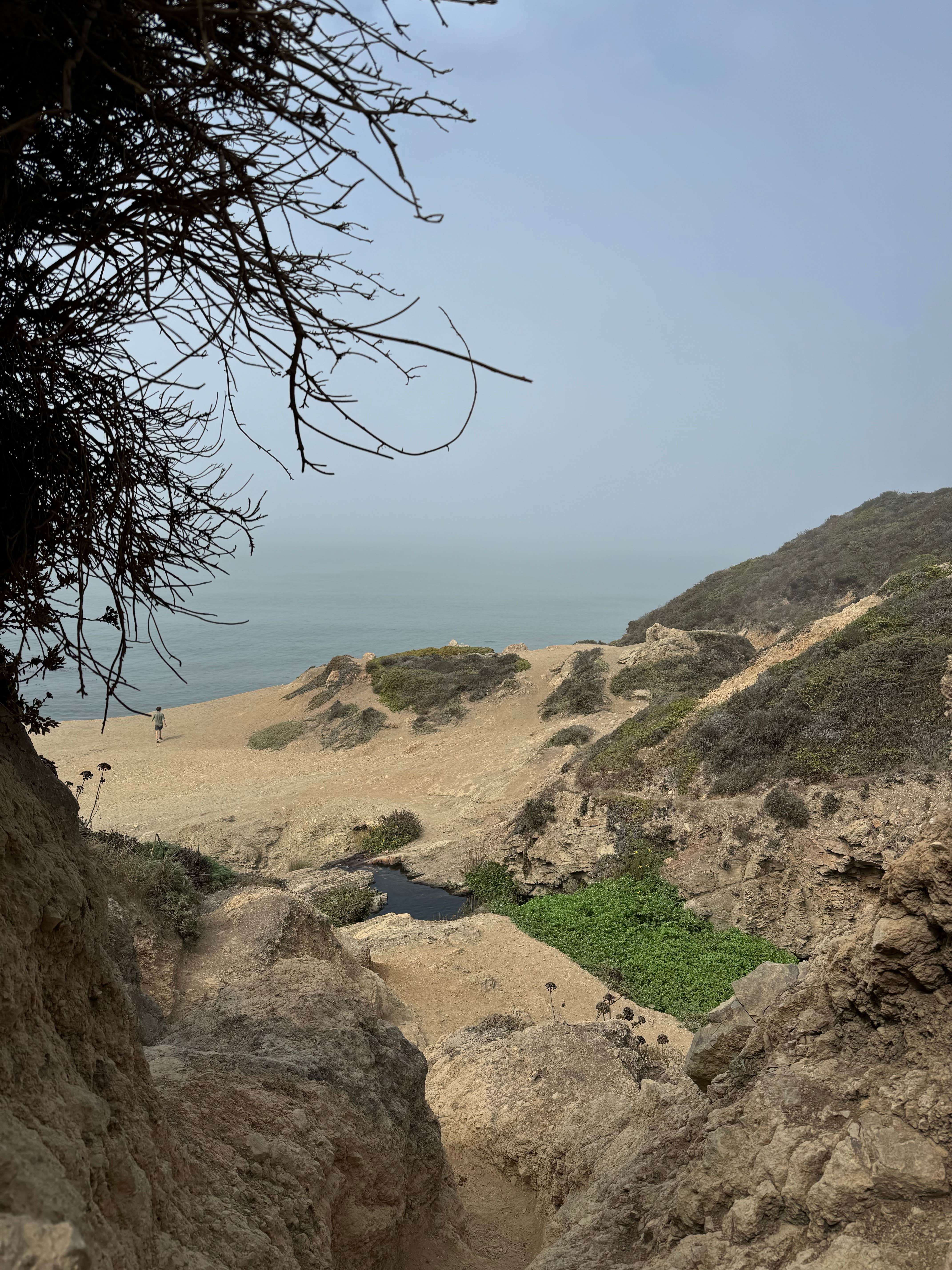 Camper submitted image from Wildcat Campground Point Reyes National Seashore - 3