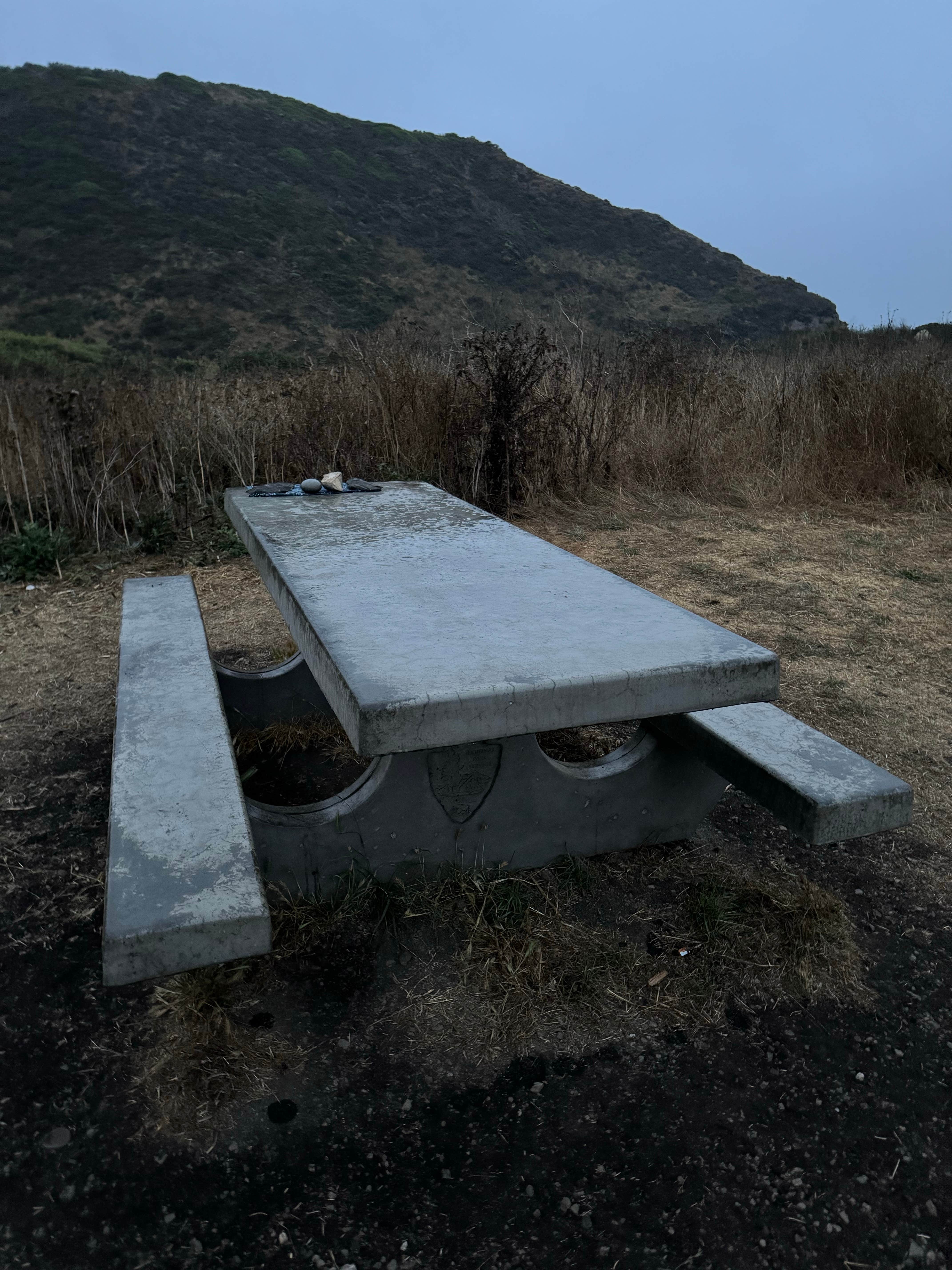 Camper submitted image from Wildcat Campground Point Reyes National Seashore - 5