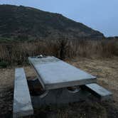 Review photo of Wildcat Campground Point Reyes National Seashore by Tyler S., September 20, 2024