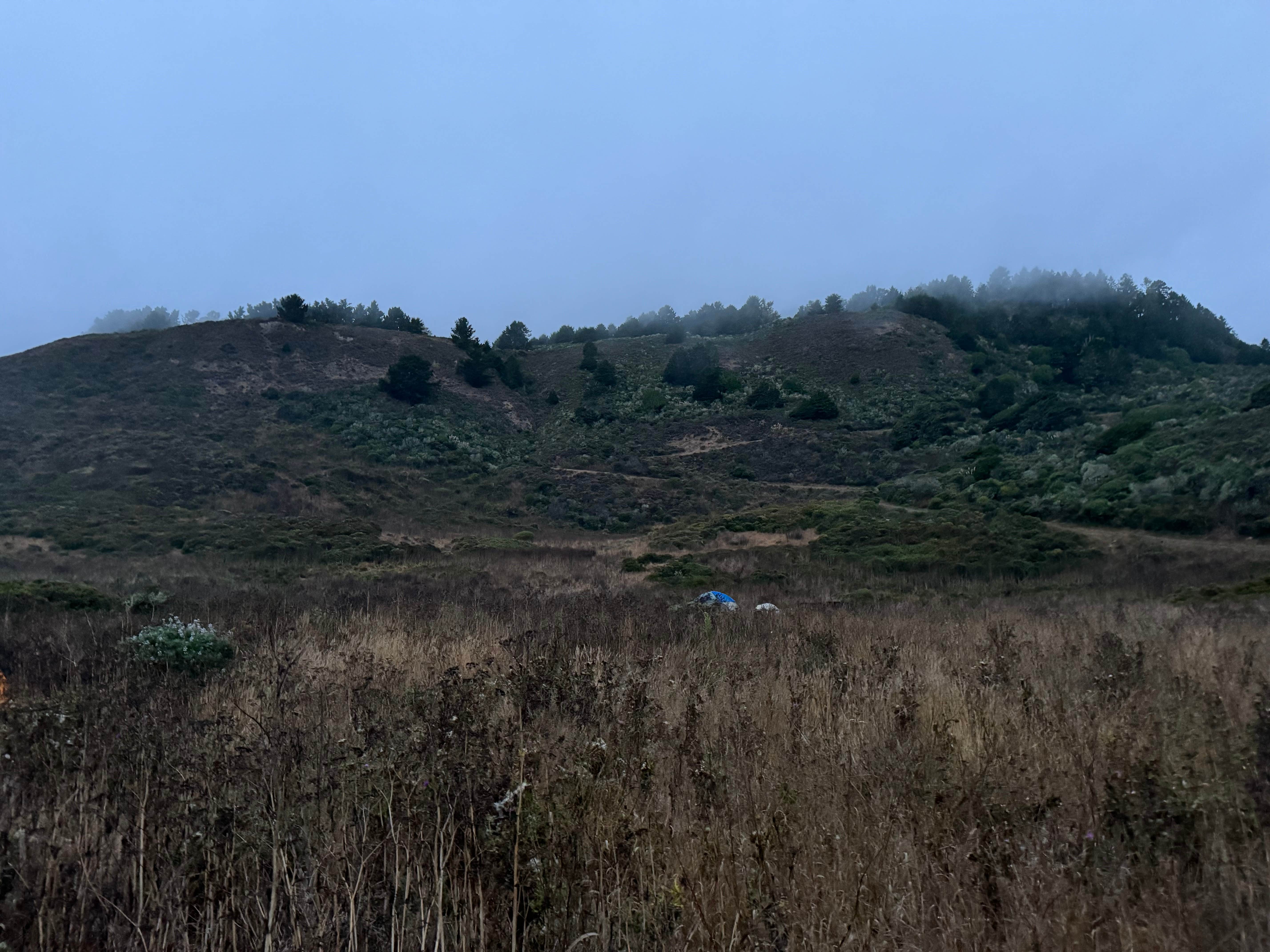 Camper submitted image from Wildcat Campground Point Reyes National Seashore - 2