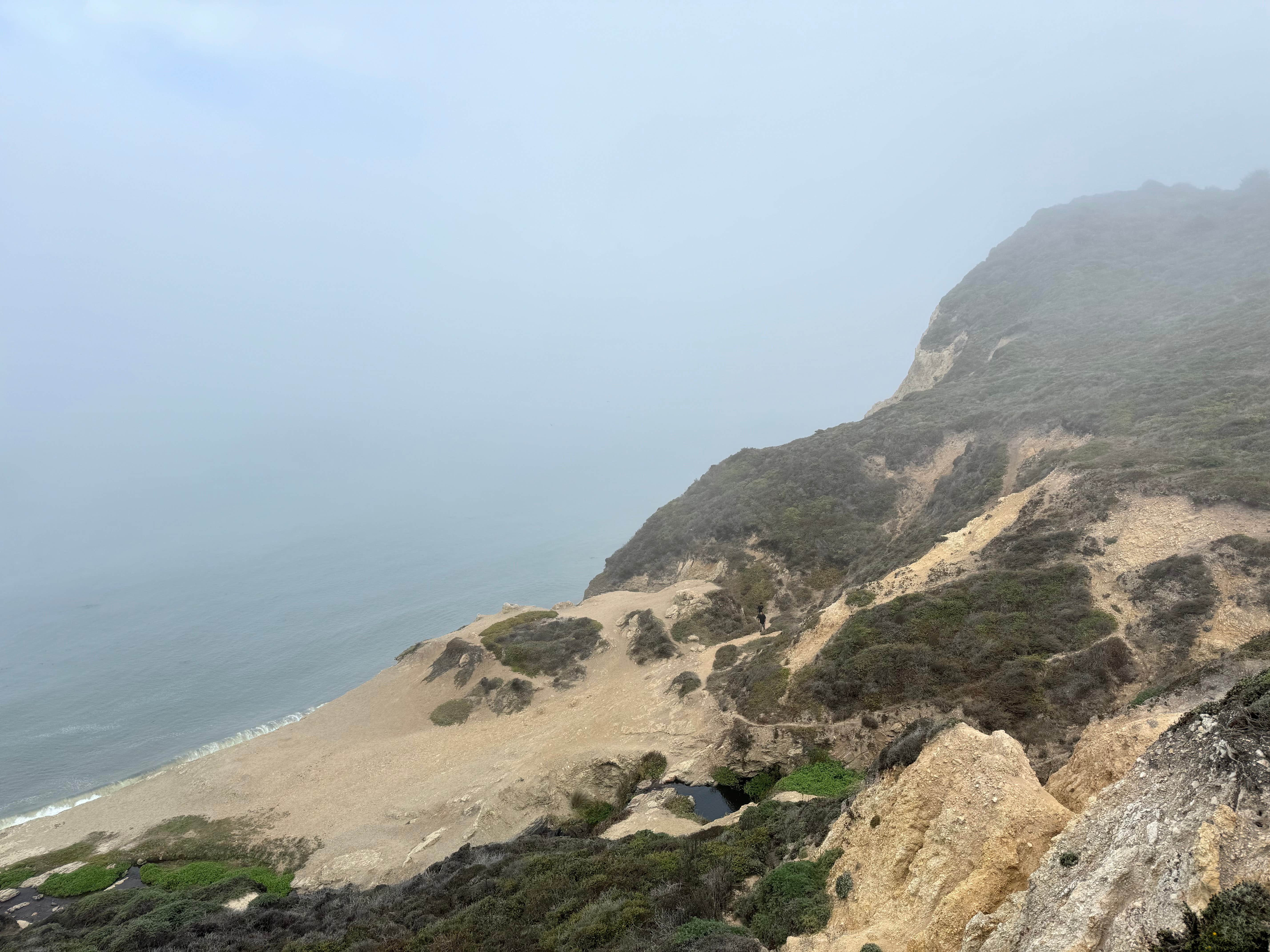 Camper submitted image from Wildcat Campground Point Reyes National Seashore - 4