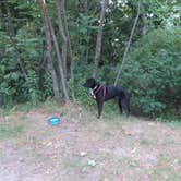 Review photo of Wildcat Mountain State Park Campground by Kay K., August 24, 2025