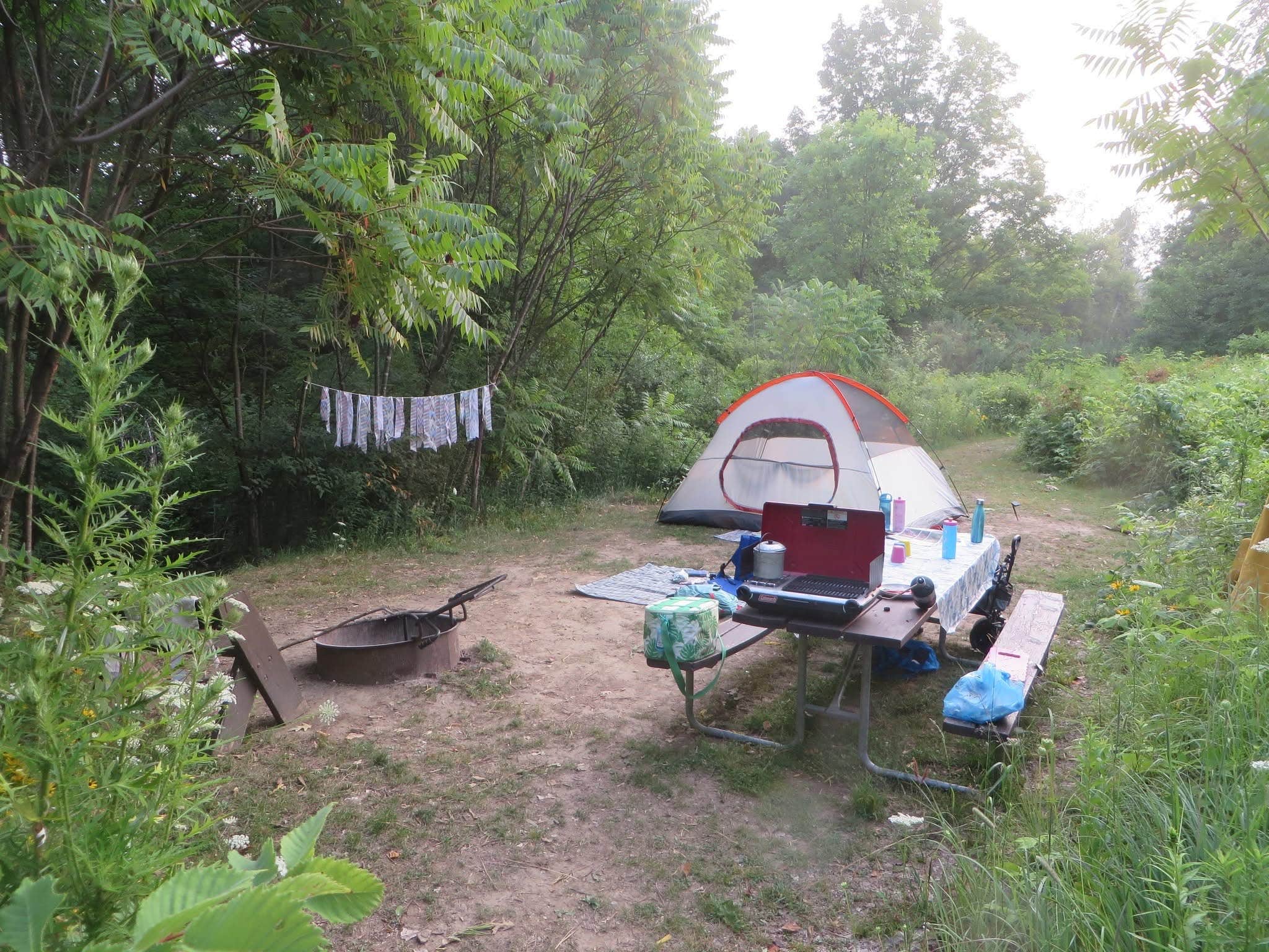 Kay K.'s photo at Wildcat Mountain State Park Campground near Camp Douglas, WI