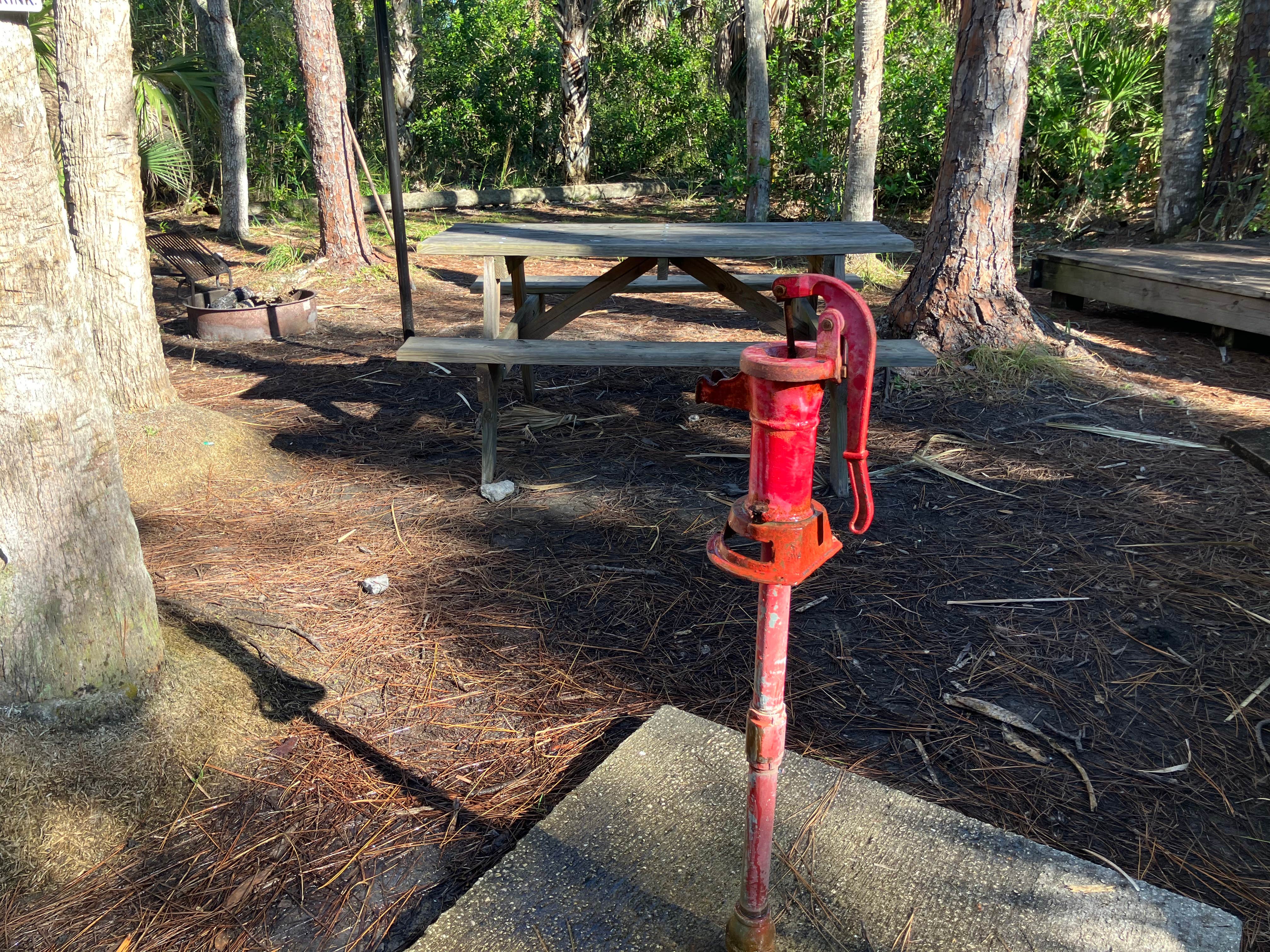 Camper-submitted photo at Wildcow Campground near LaBelle, FL